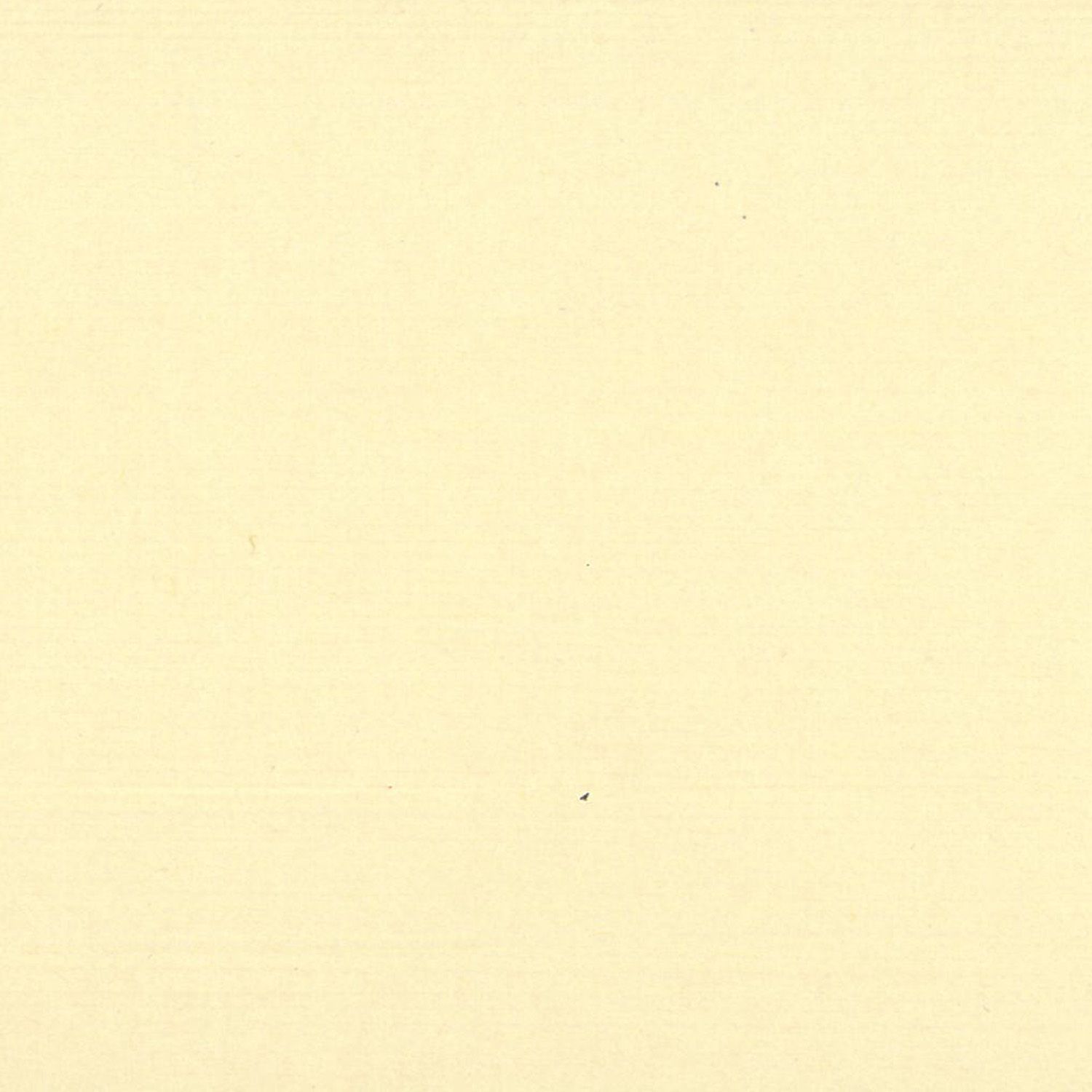 Feuille Ingres  Clairefontaine  50x65 Beige
