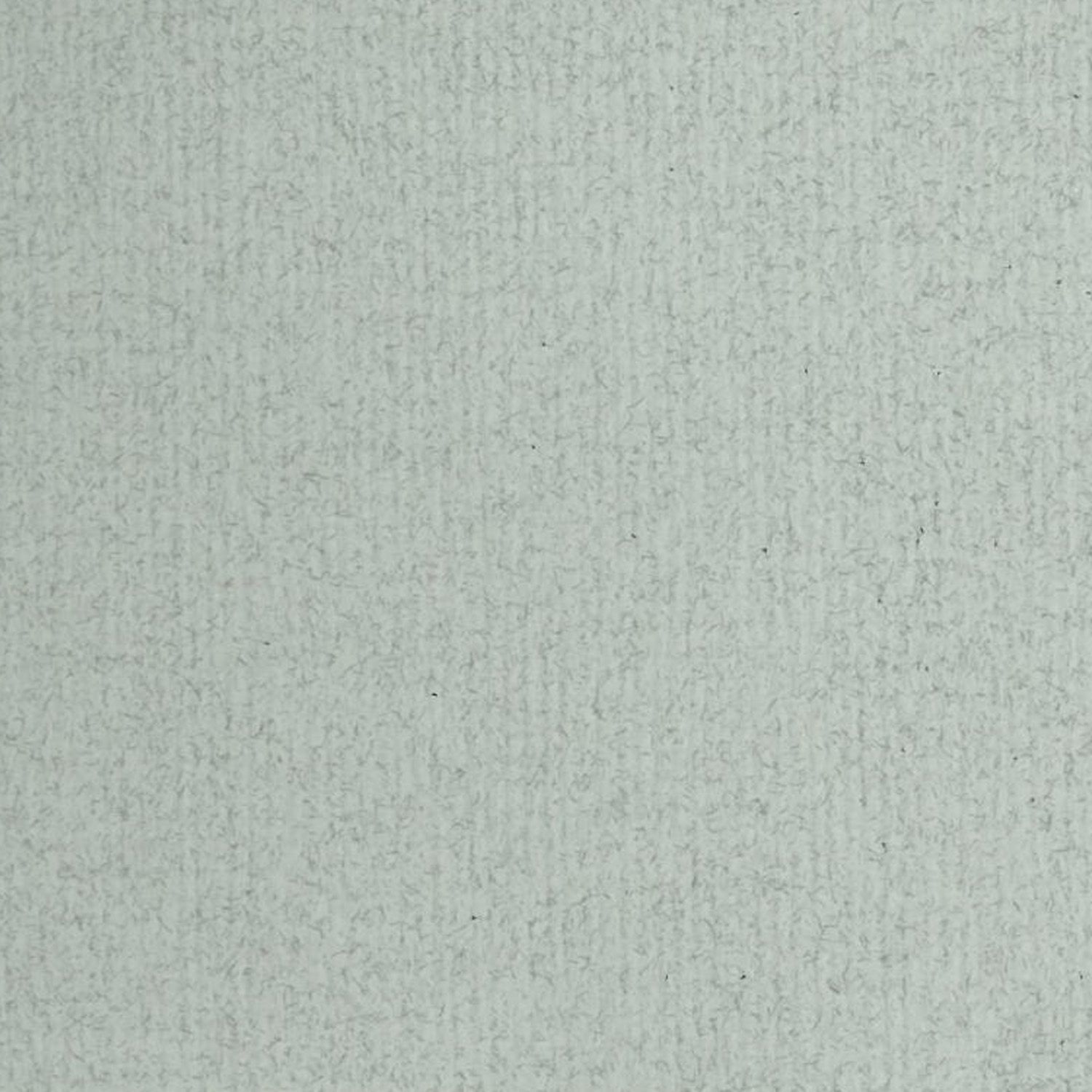 Feuille Ingres  Clairefontaine  50x65 Gris