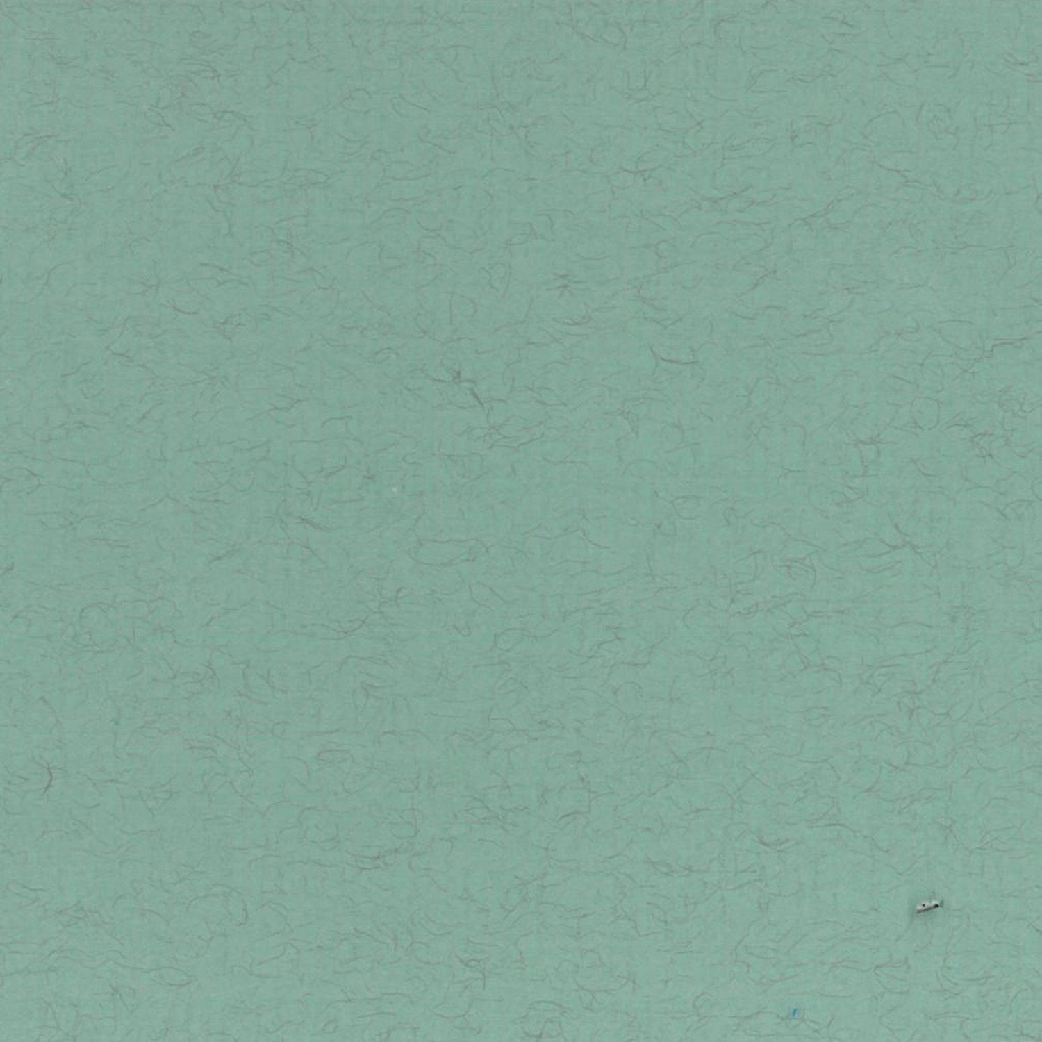 Feuille Ingres  Clairefontaine  50x65 Vert d'eau