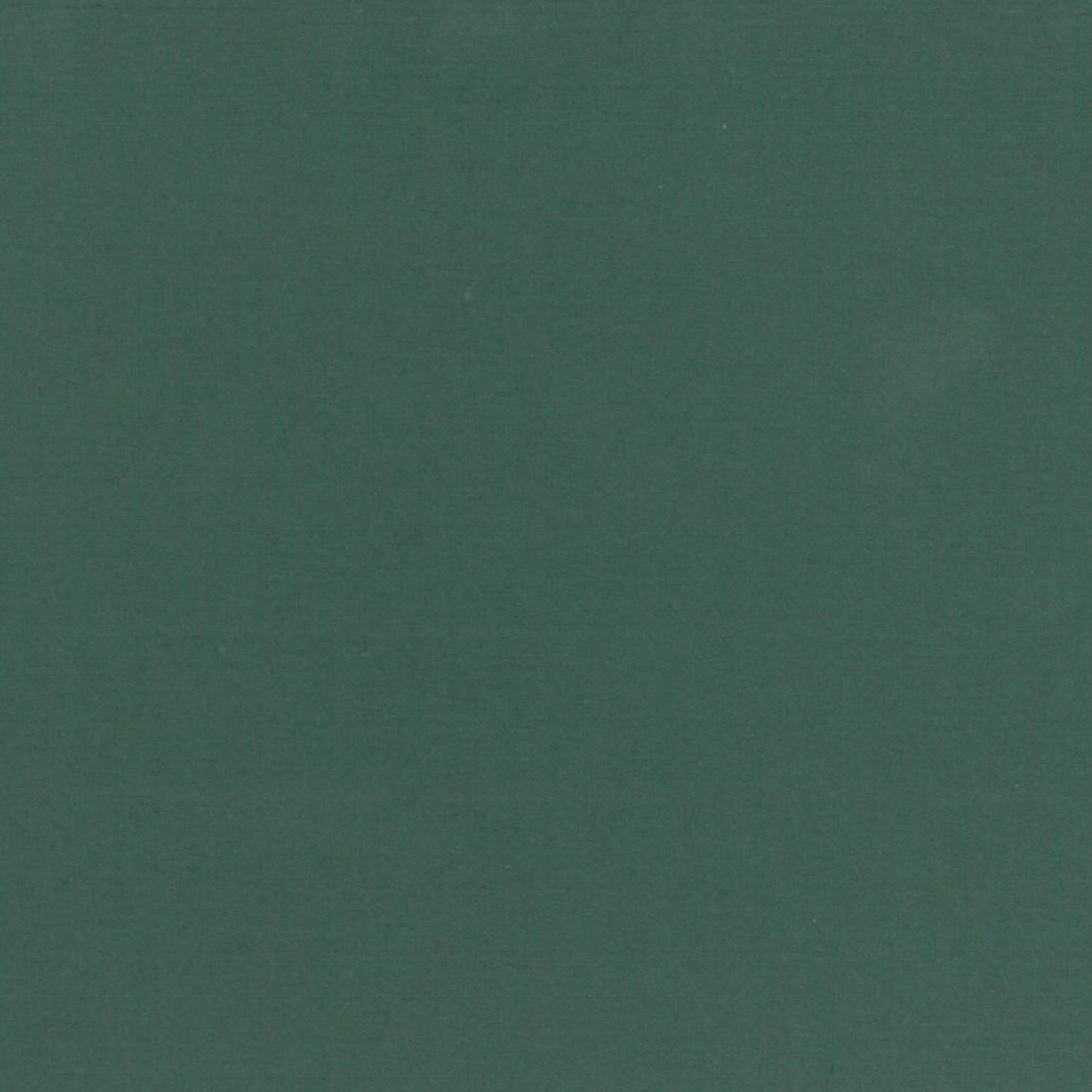 Feuille Ingres  Clairefontaine  50x65 Vert profond