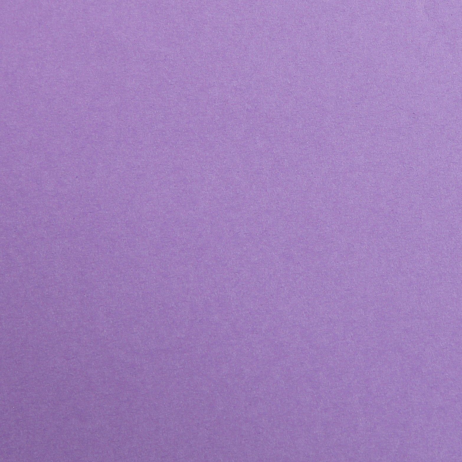 Feuille Maya 50x70 270g  Violet