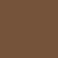 Feuille Mi-teintes Canson 160g 50x65  Marron foncé