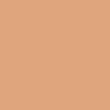 Pastels secs Rembrandt N°236,8 Orange clair