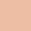 Pastels secs Rembrandt N°236,9 Orange clair