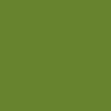 Pastels secs Rembrandt N°626,5 Vert cinabre clair