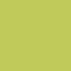 Pastels secs Rembrandt N°626,9 Vert cinabre clair