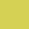 Pastels secs Rembrandt N°633,7 Vert jaune permanent