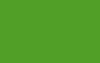 Peinture à l'huile diluable à l'eau Cobra 40ml S3 N°618 Vert permanent clair