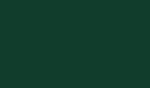 Peinture à l'huile diluable à l'eau Cobra 40ml S3 N°623 Vert de vessie