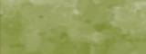 Peinture Vallejo Game Color Special FX 611 Mousse et lichen