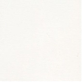Pigments purs - Corect'art S1 001 Blanc de titane