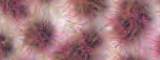 Touffes de végétations pour miniatures - Vallejo S1 6mm Rose