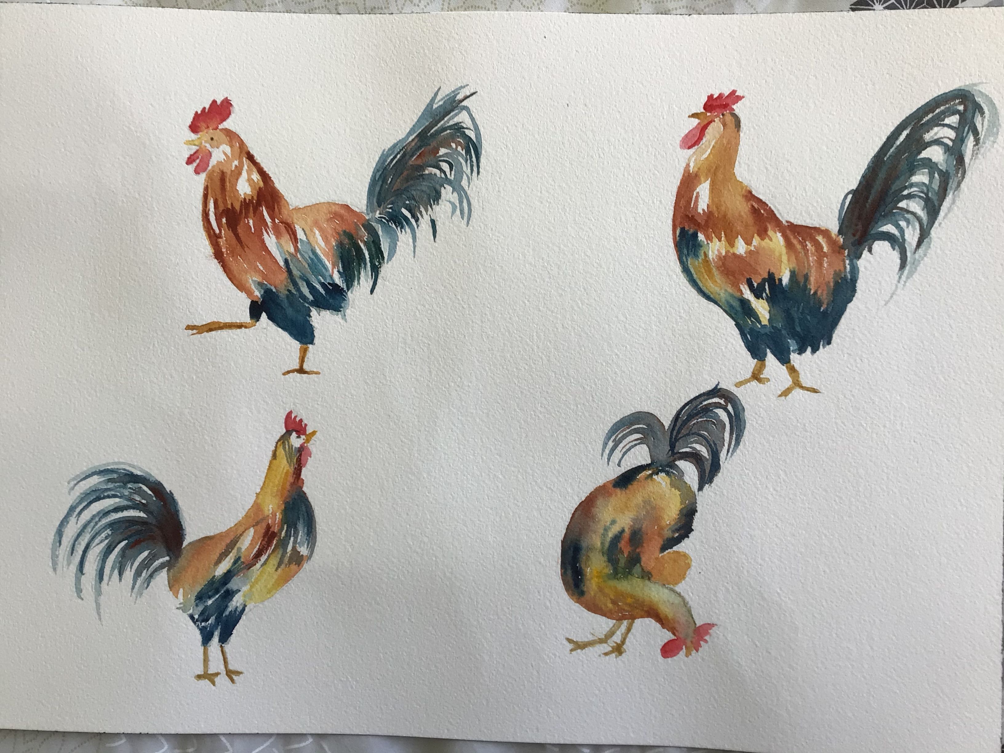 Un coq à l'aquarelle dans tous ses états de Marie-line le 04 avril 2021