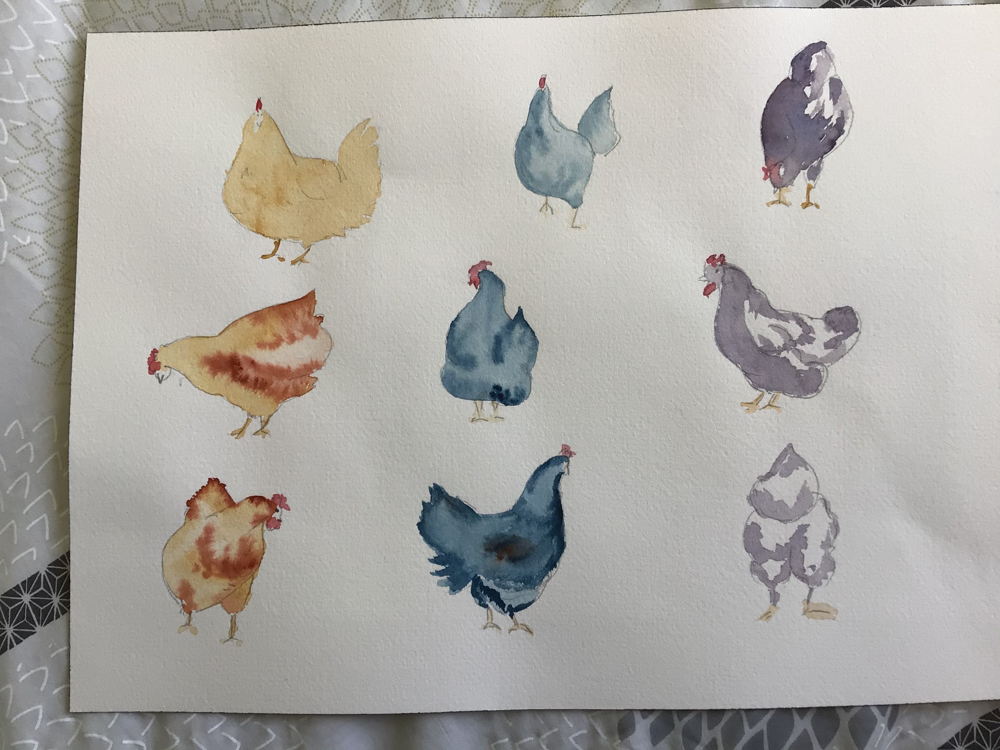 Poules sous toutes les coutures à l'aquarelle de Marie-line le 04 avril 2021