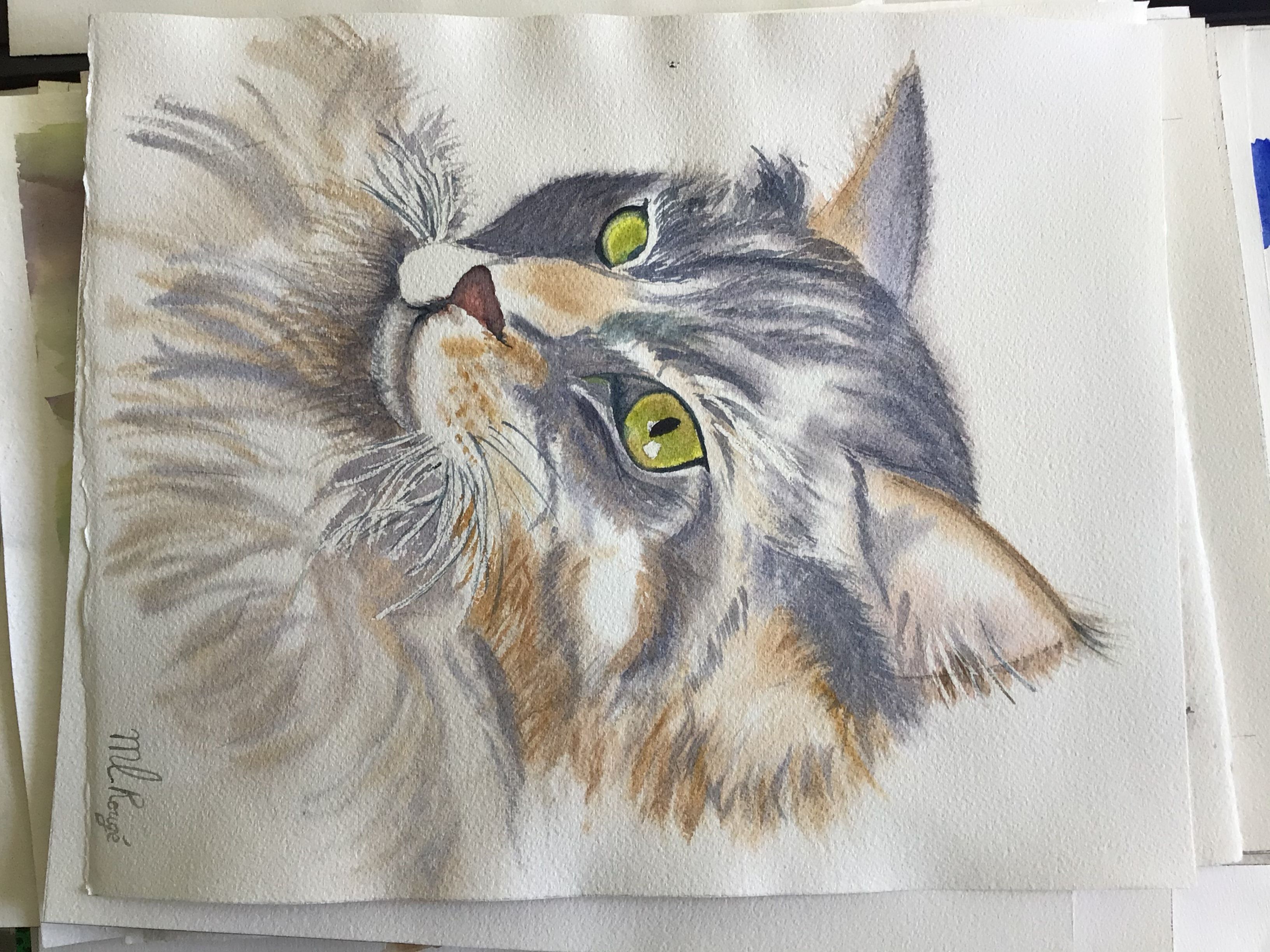 Un chat à l'aquarelle de Marie-line le 04 avril 2021