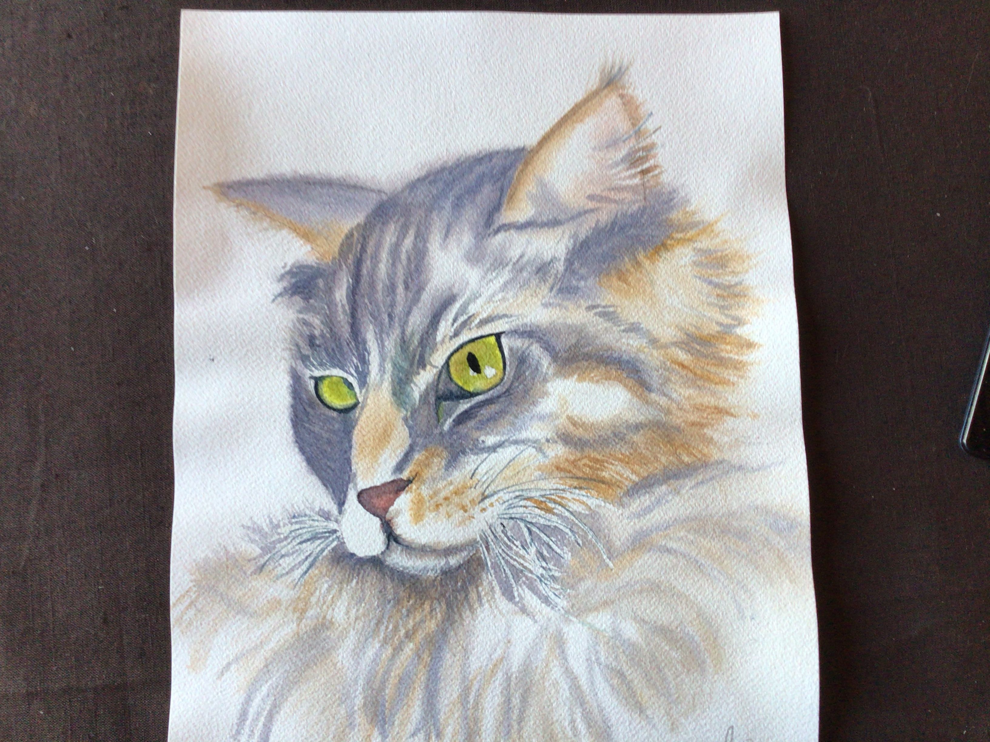 Un chat à l'aquarelle de Marie-line le 07 avril 2021