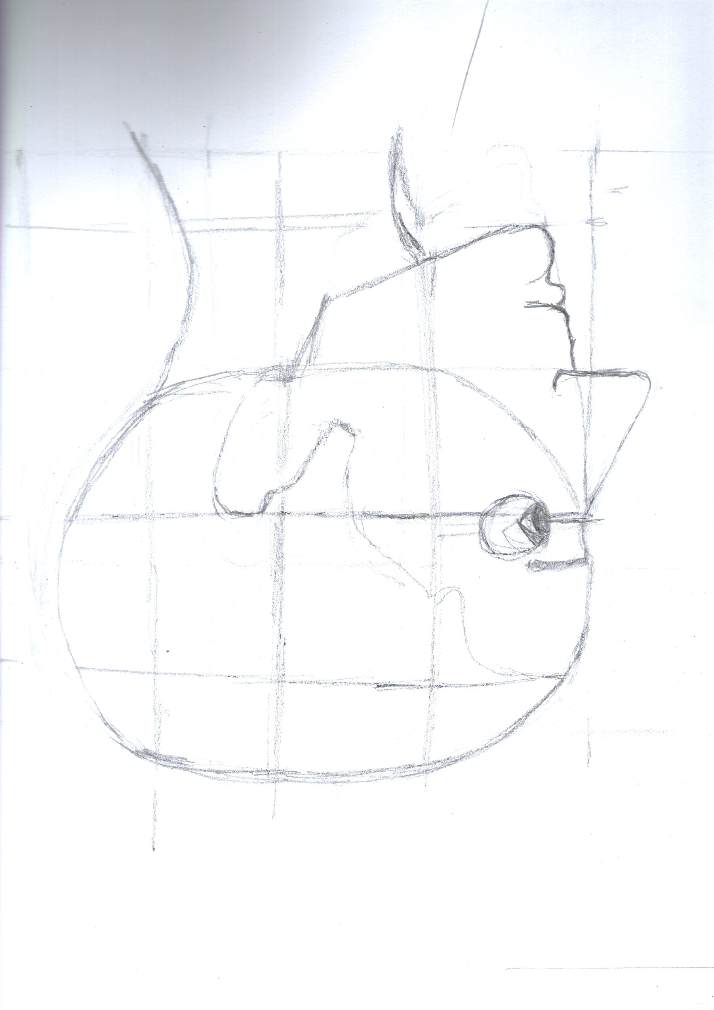 Les Proportions du visage en Dessin de Marie ange le 03 mai 2021