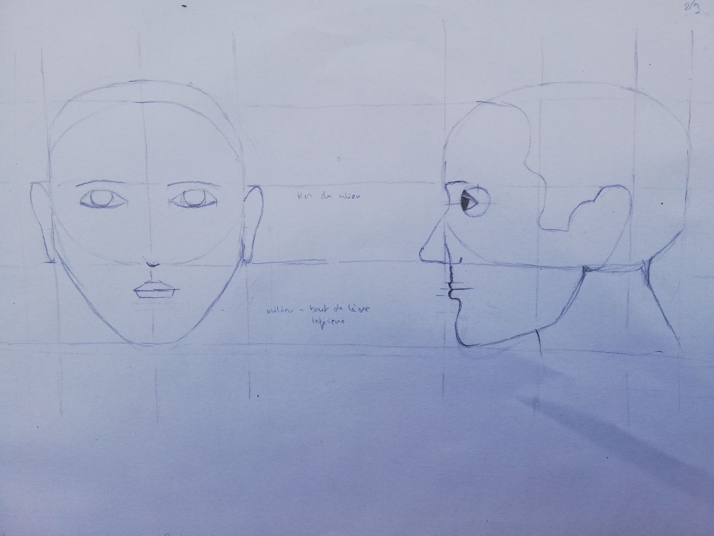 Les Proportions du visage en Dessin de Dina le 09 mai 2021
