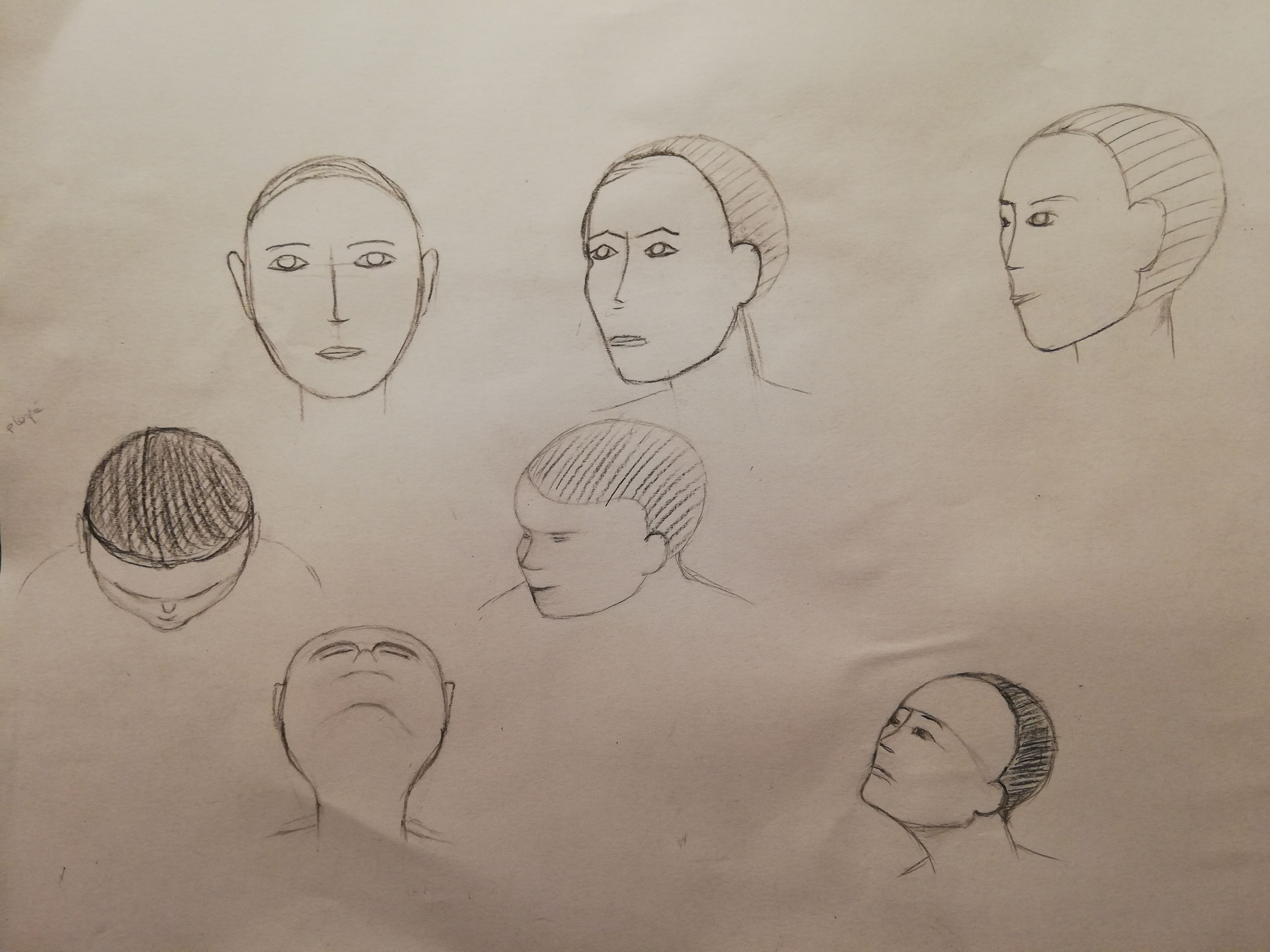 Dessiner les positions de la tête de Dina le 09 mai 2021