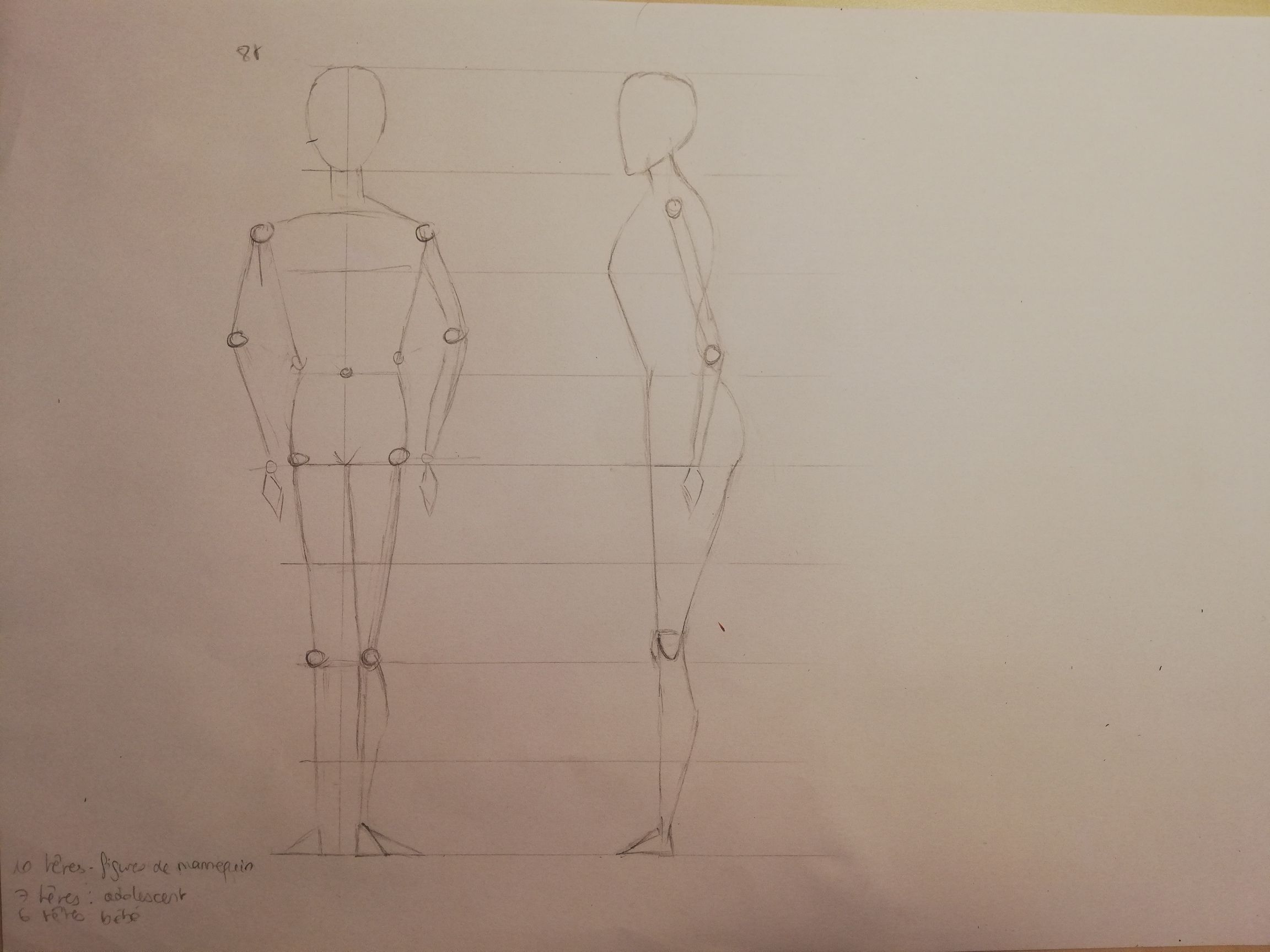 Les proportions du corps humain en Dessin de Dina le 12 mai 2021