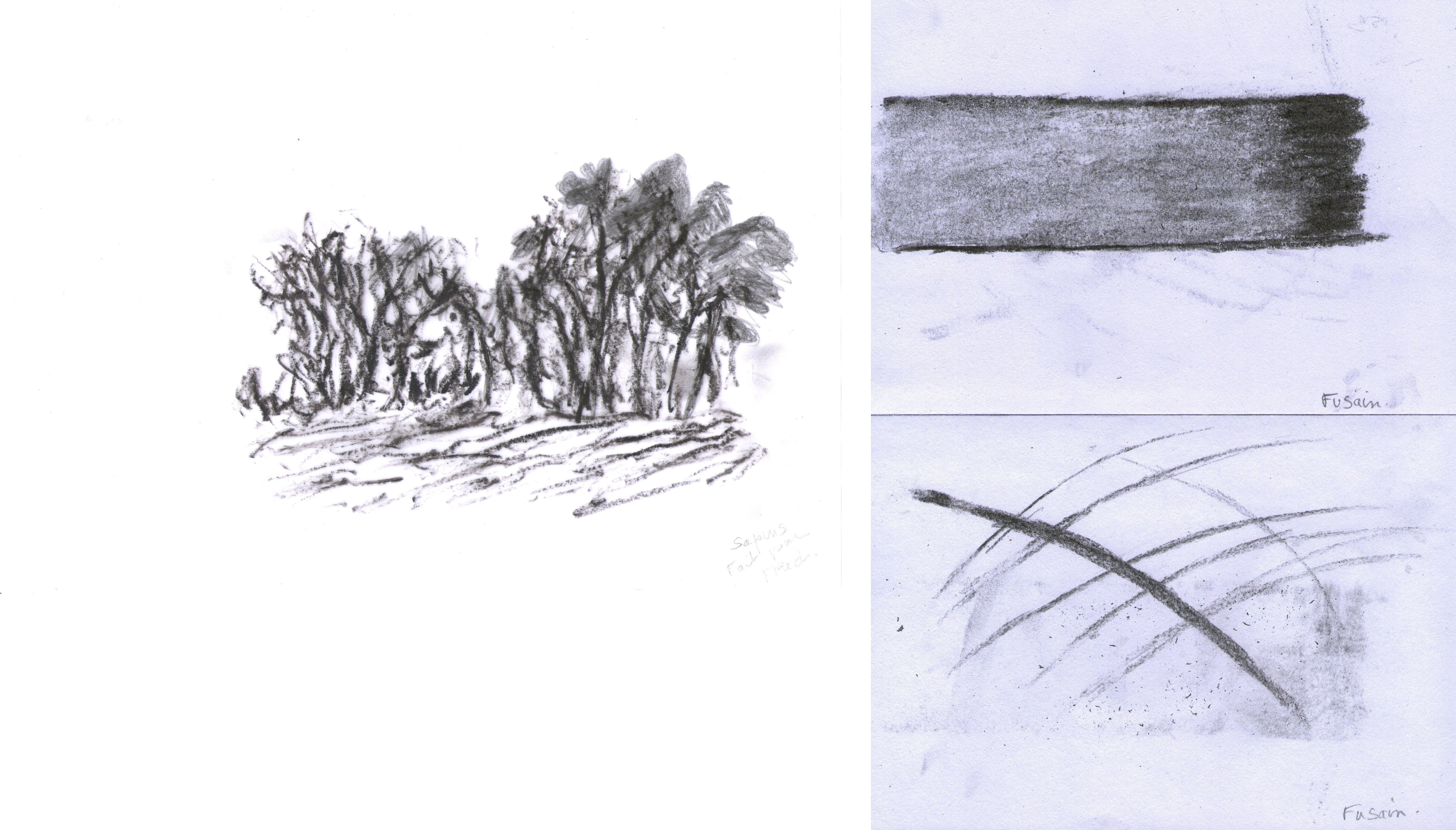 Comment utiliser le fusain en dessin ? de Marie ange le 12 mai 2021