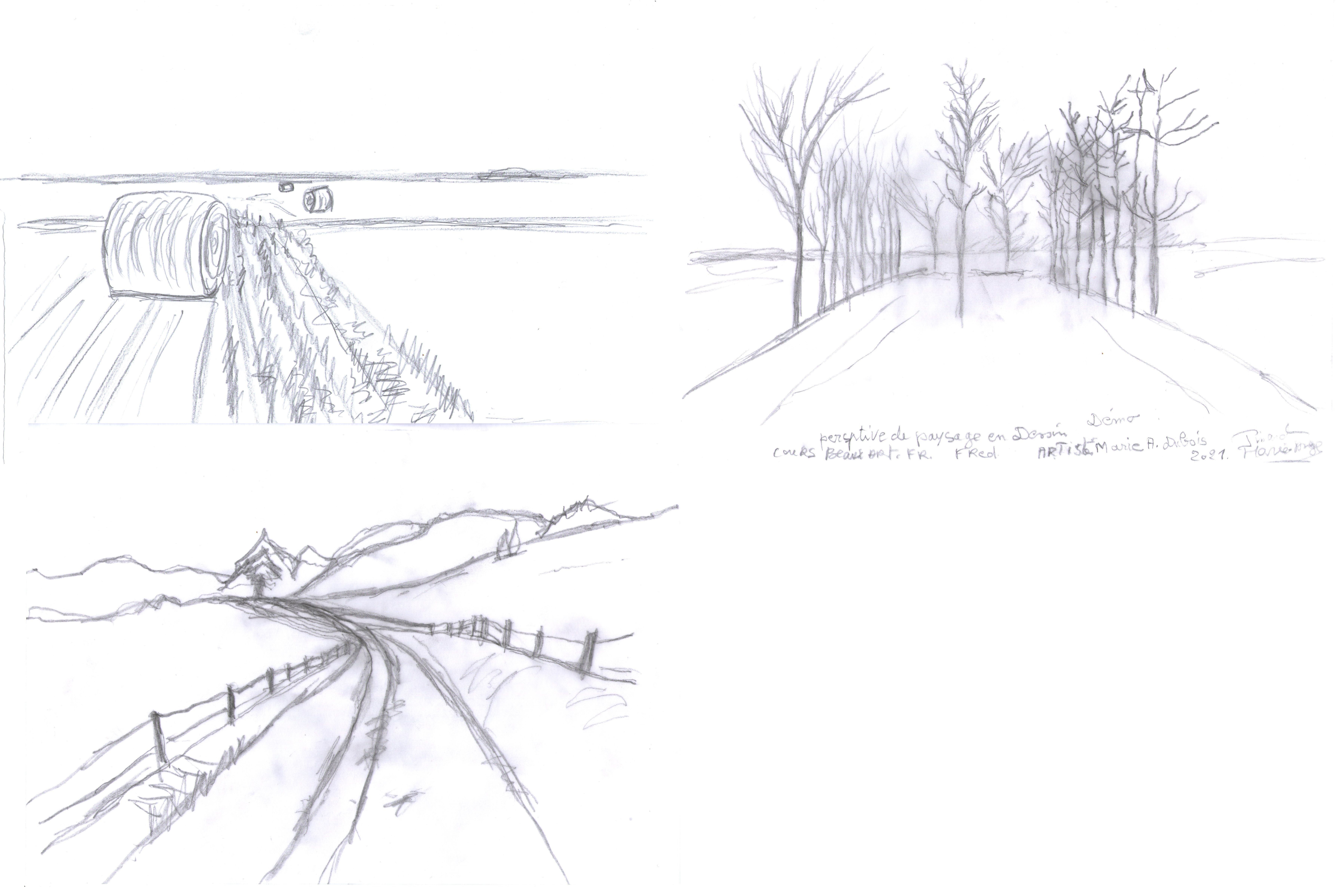 Perspective de paysage en Dessin de Marie ange le 30 mai 2021