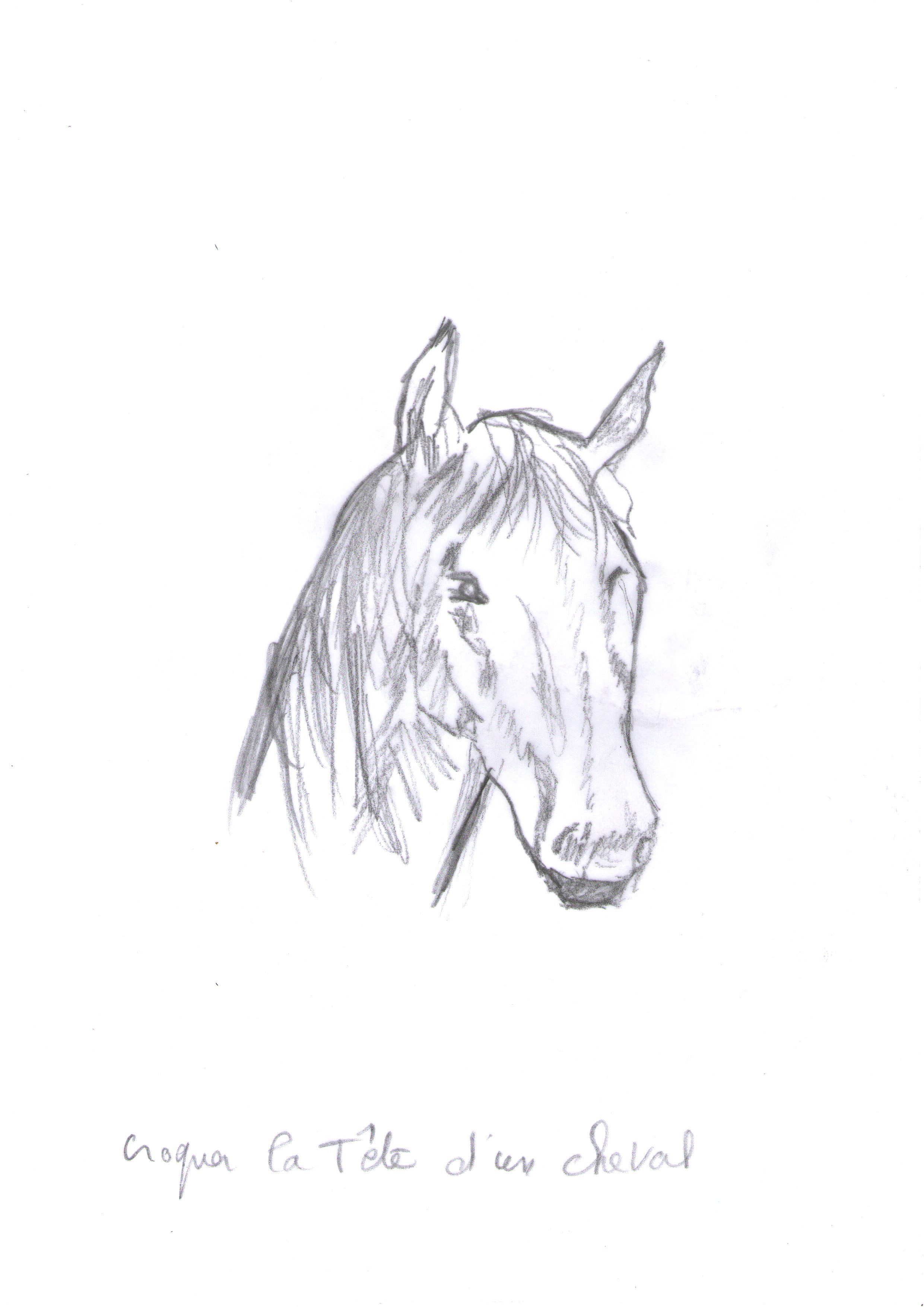 Croquer la tête d'un cheval de Marie ange le 18 juillet 2021