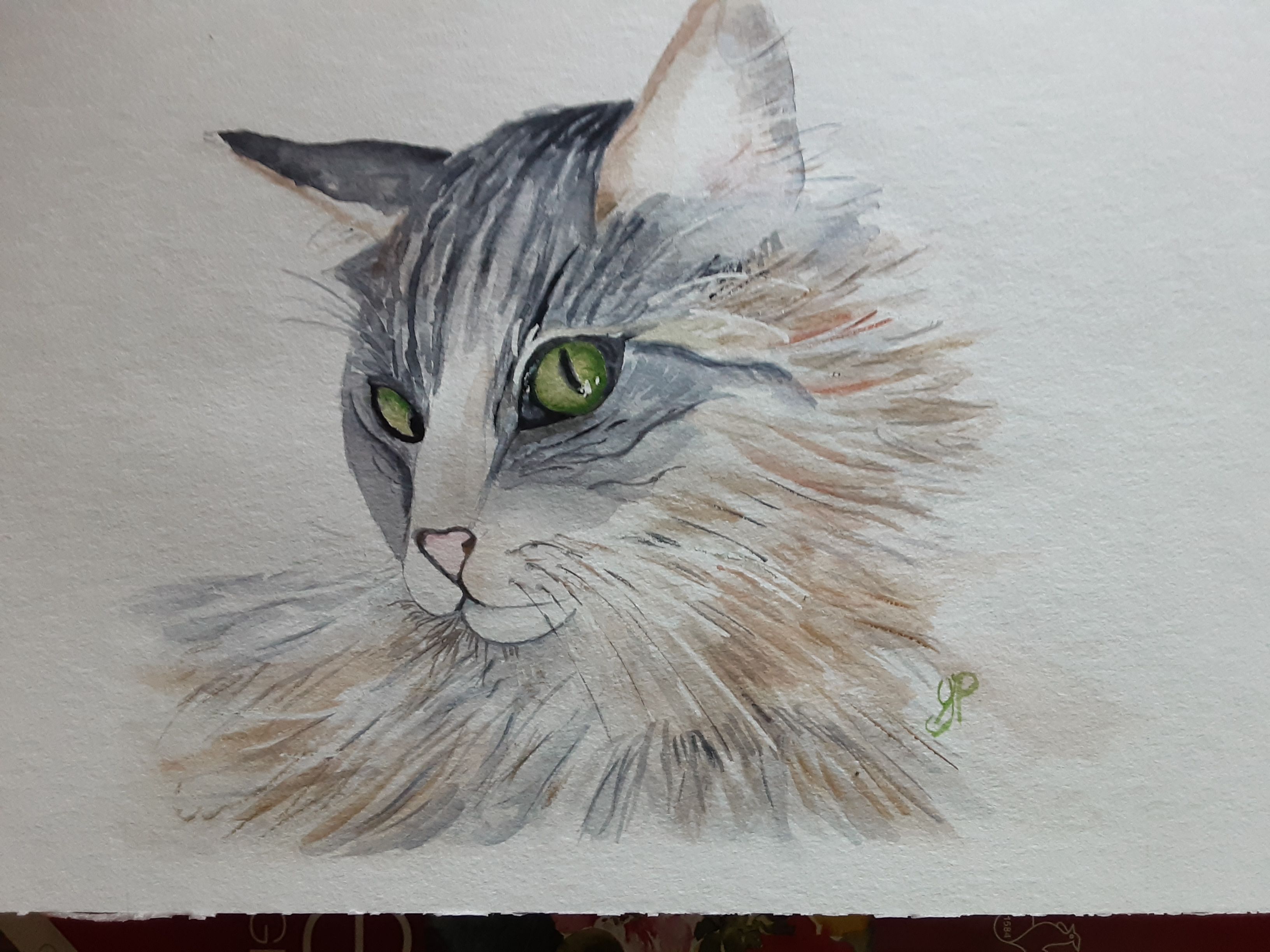 Un chat à l'aquarelle de Gisele le 02 août 2021