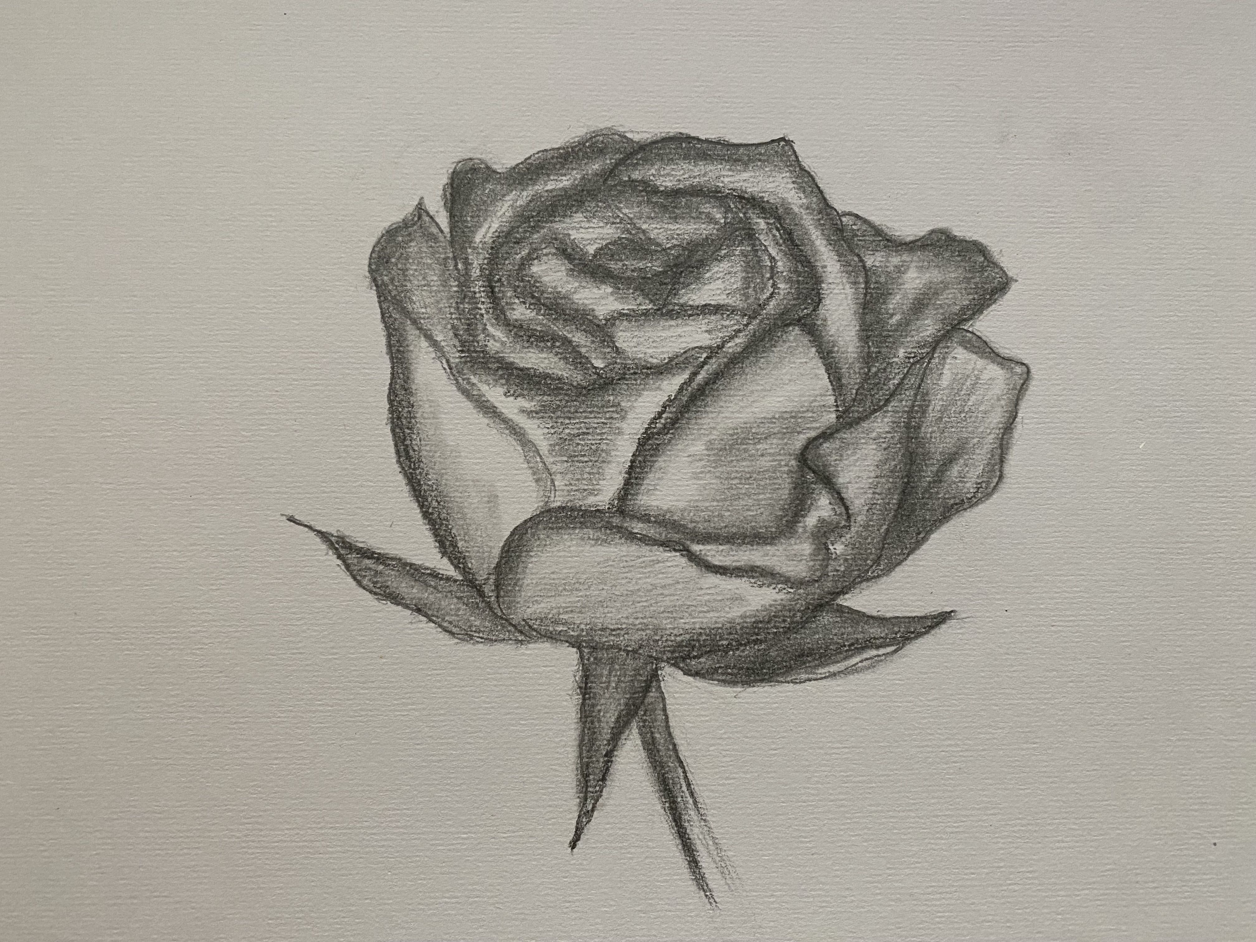 Dessiner une rose de Kessy le 02 décembre 2021
