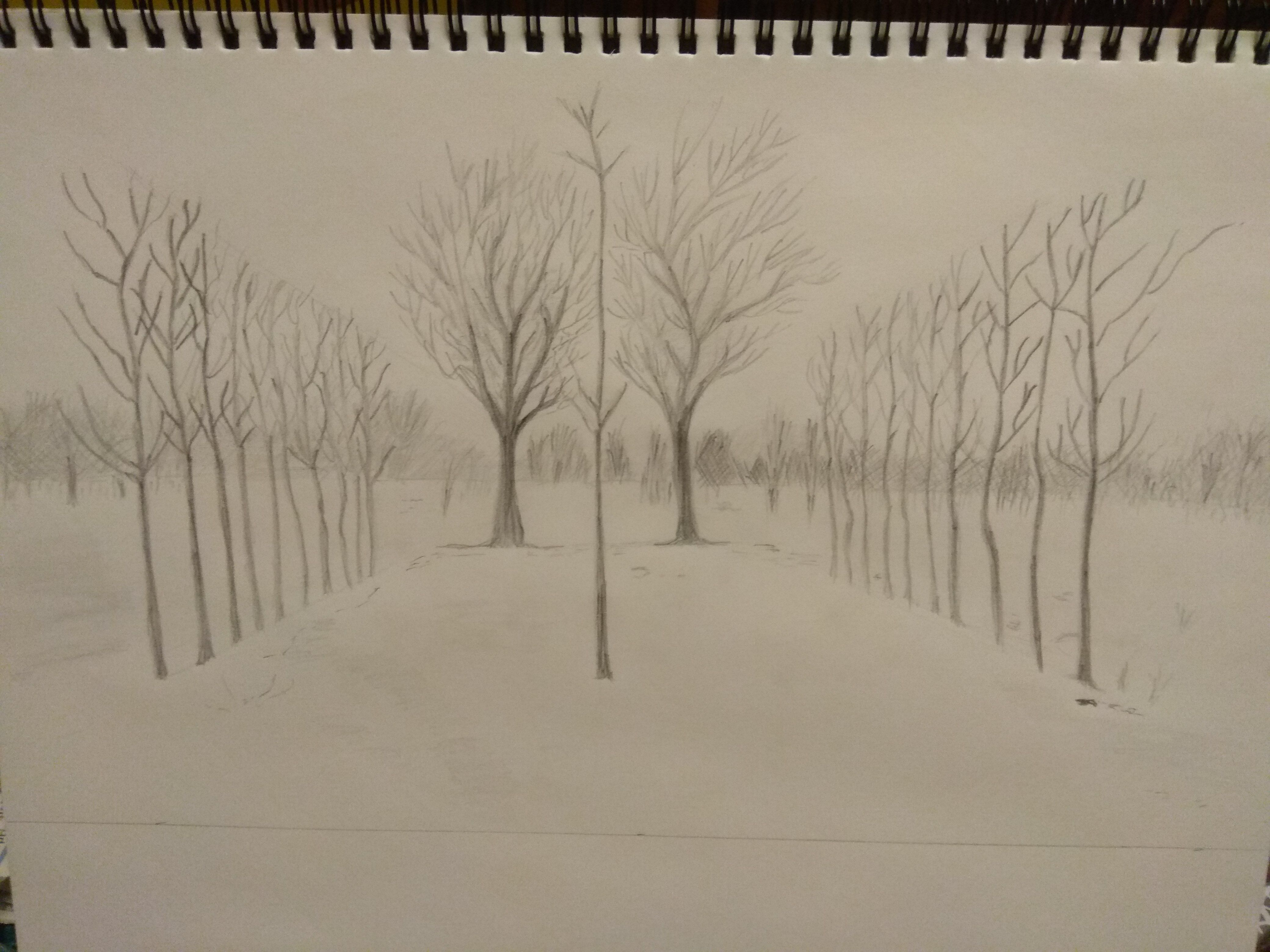 Perspective de paysage en Dessin de Françoise le 24 janvier 2022