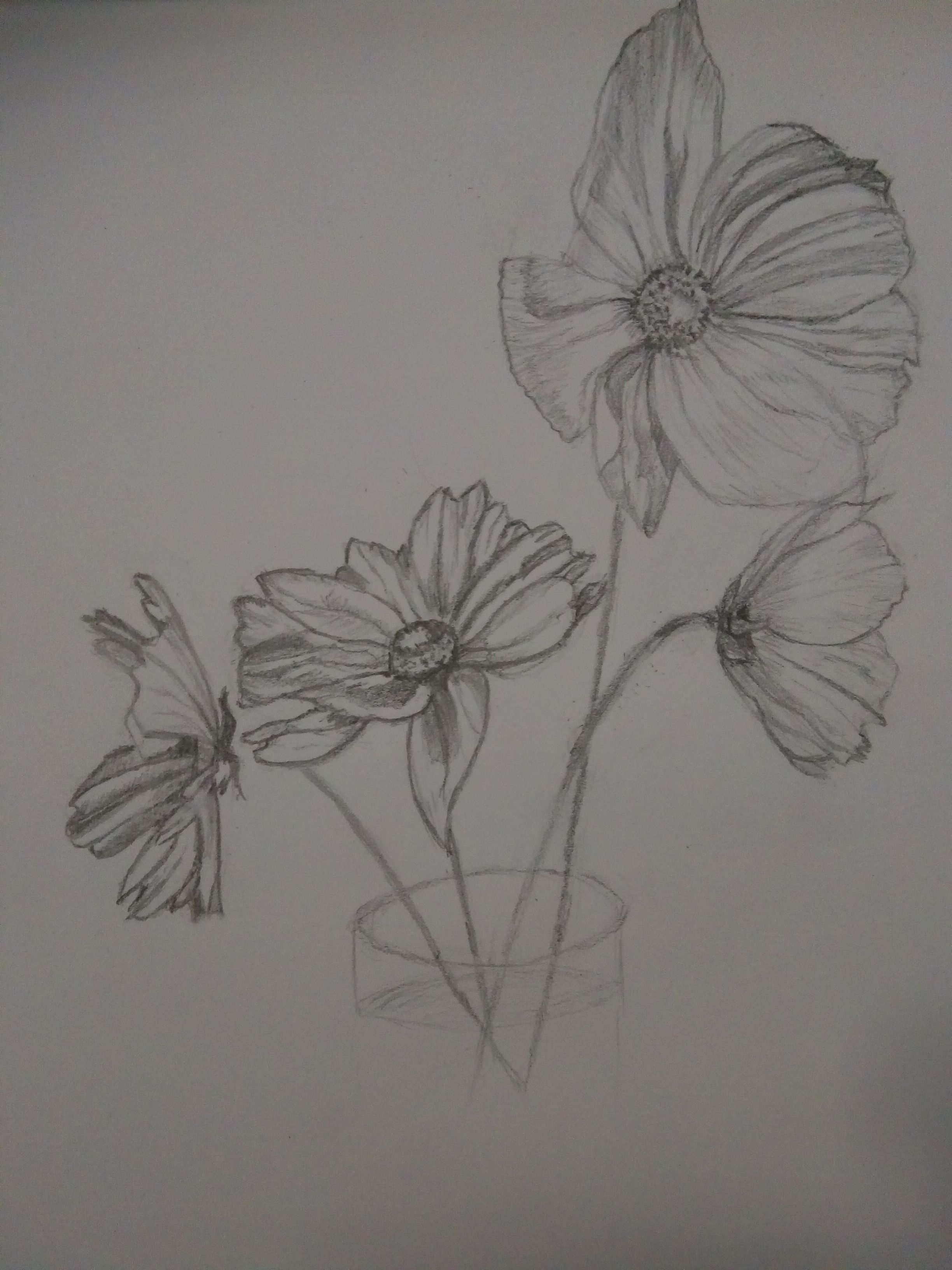 Dessiner des Cosmos de Sylvie le 31 janvier 2022