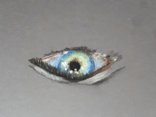 Un oeil magnifique au Pastel ! de Isabelle le 31 janvier 2022