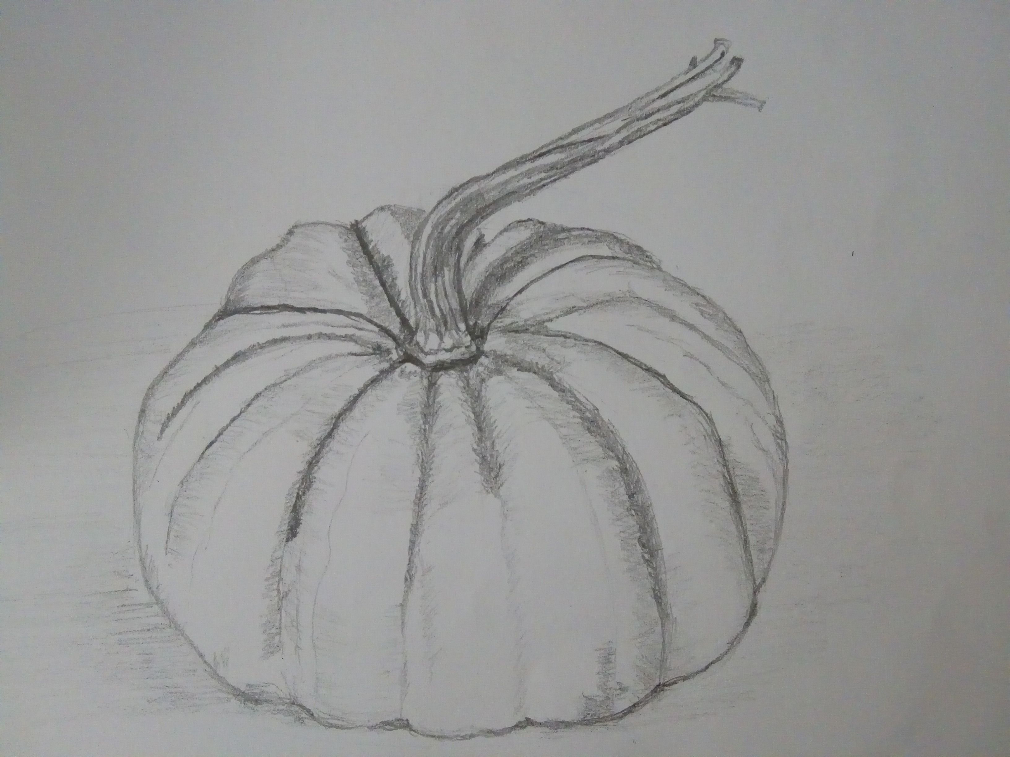 Dessin d'observation : une courge de Sylvie le 23 février 2022