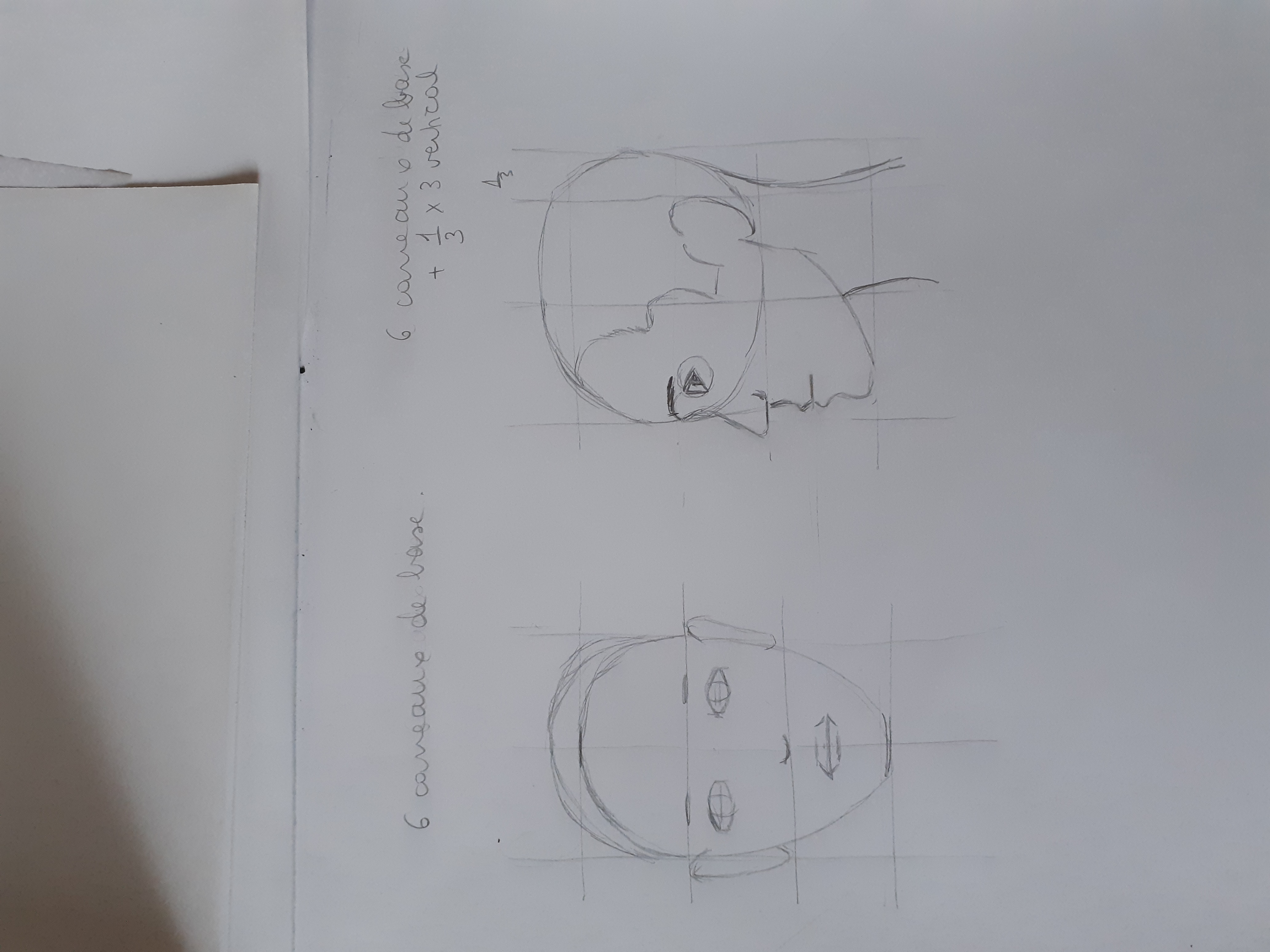Les Proportions du visage en Dessin de Marie-christine le 17 mars 2022