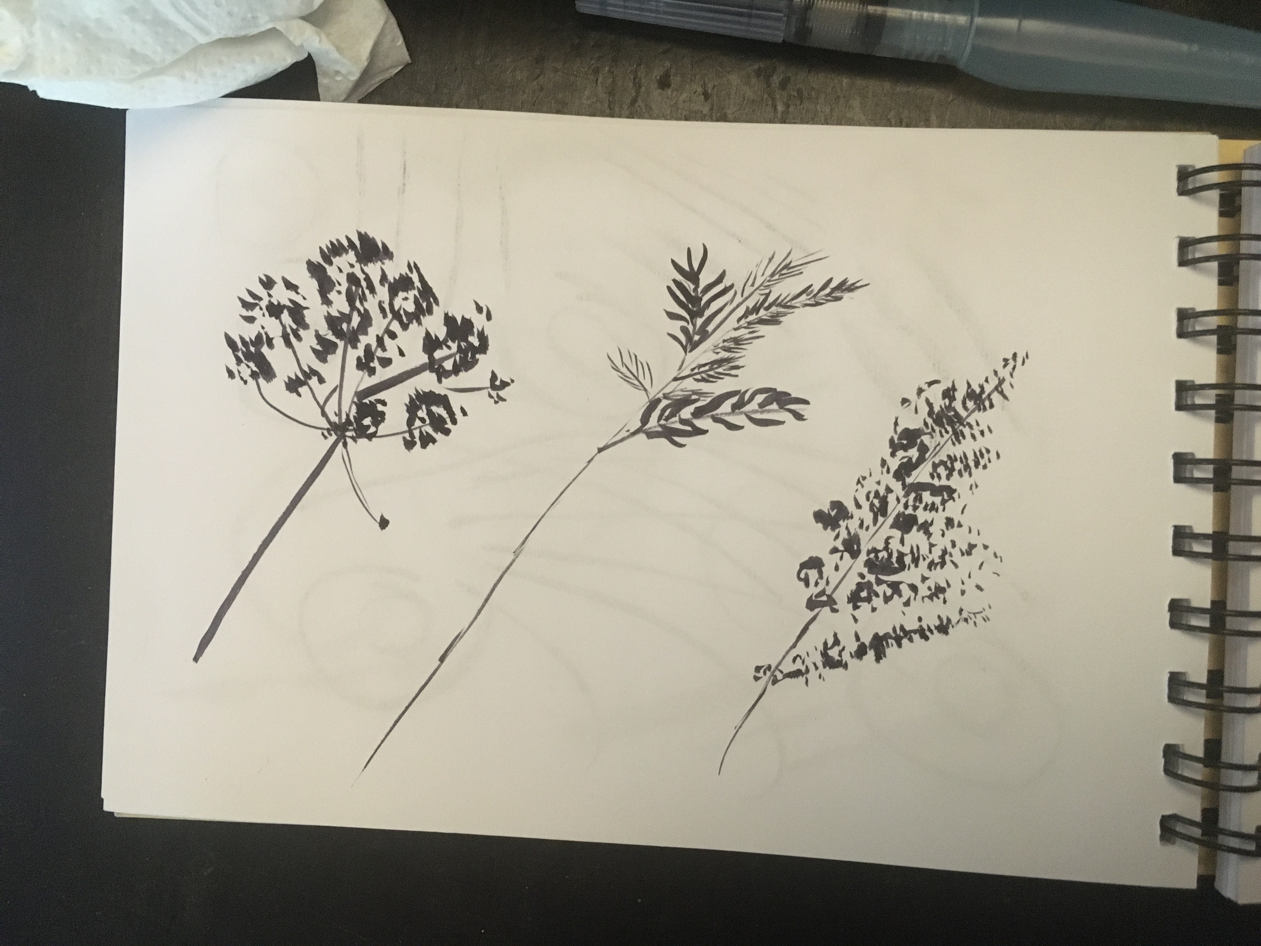 Dessiner des Herbes folles à l'encre de Dominique le 27 mars 2022