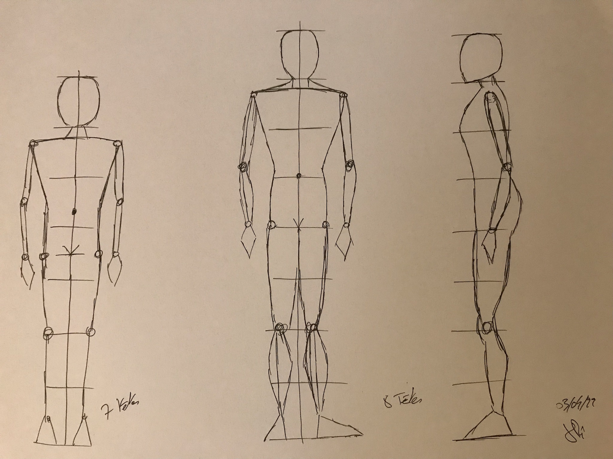 Les proportions du corps humain en Dessin de Jean pierre le 03 avril 2022