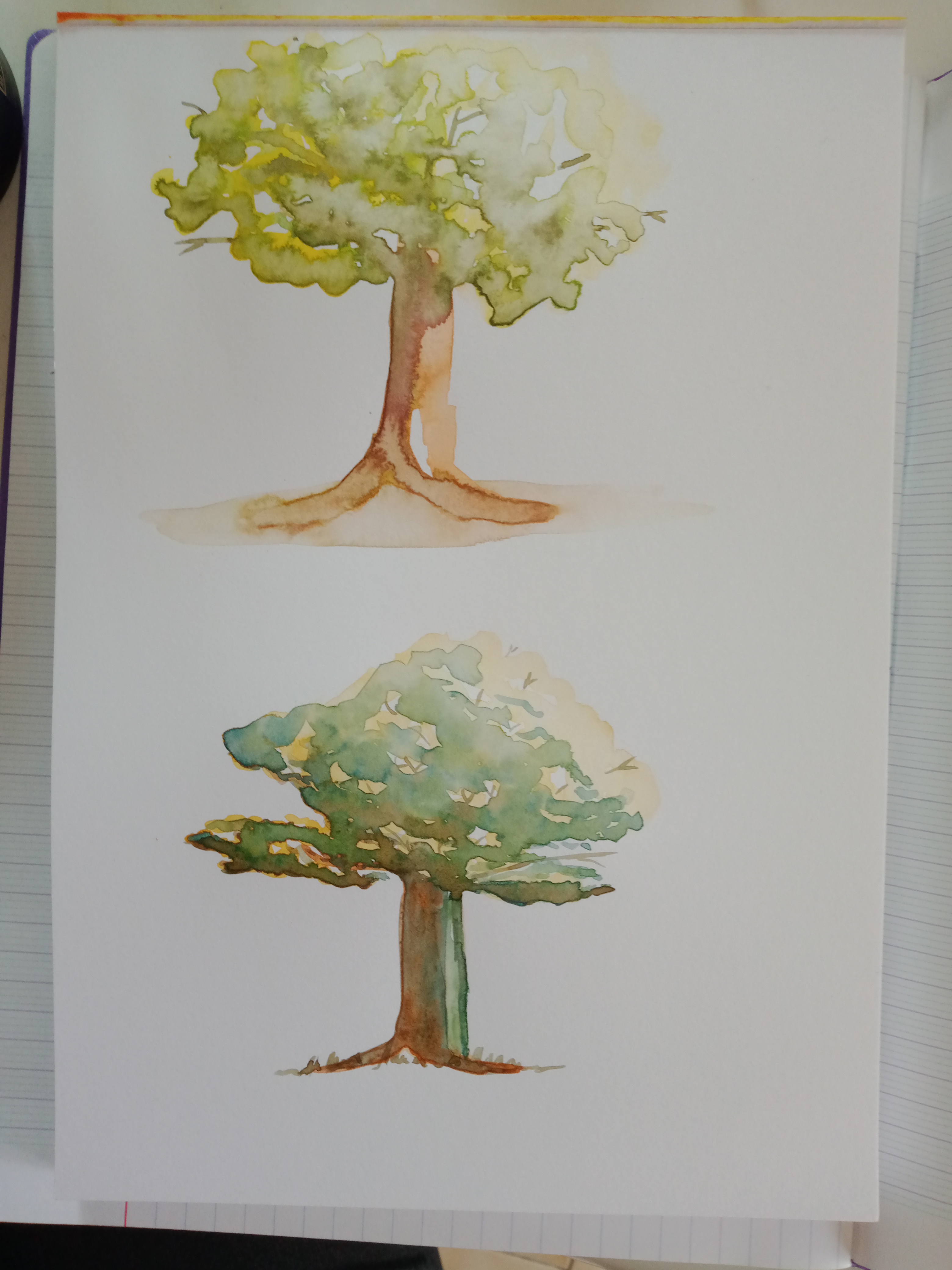 Le Lavis à l'Aquarelle de Audrey le 13 avril 2022