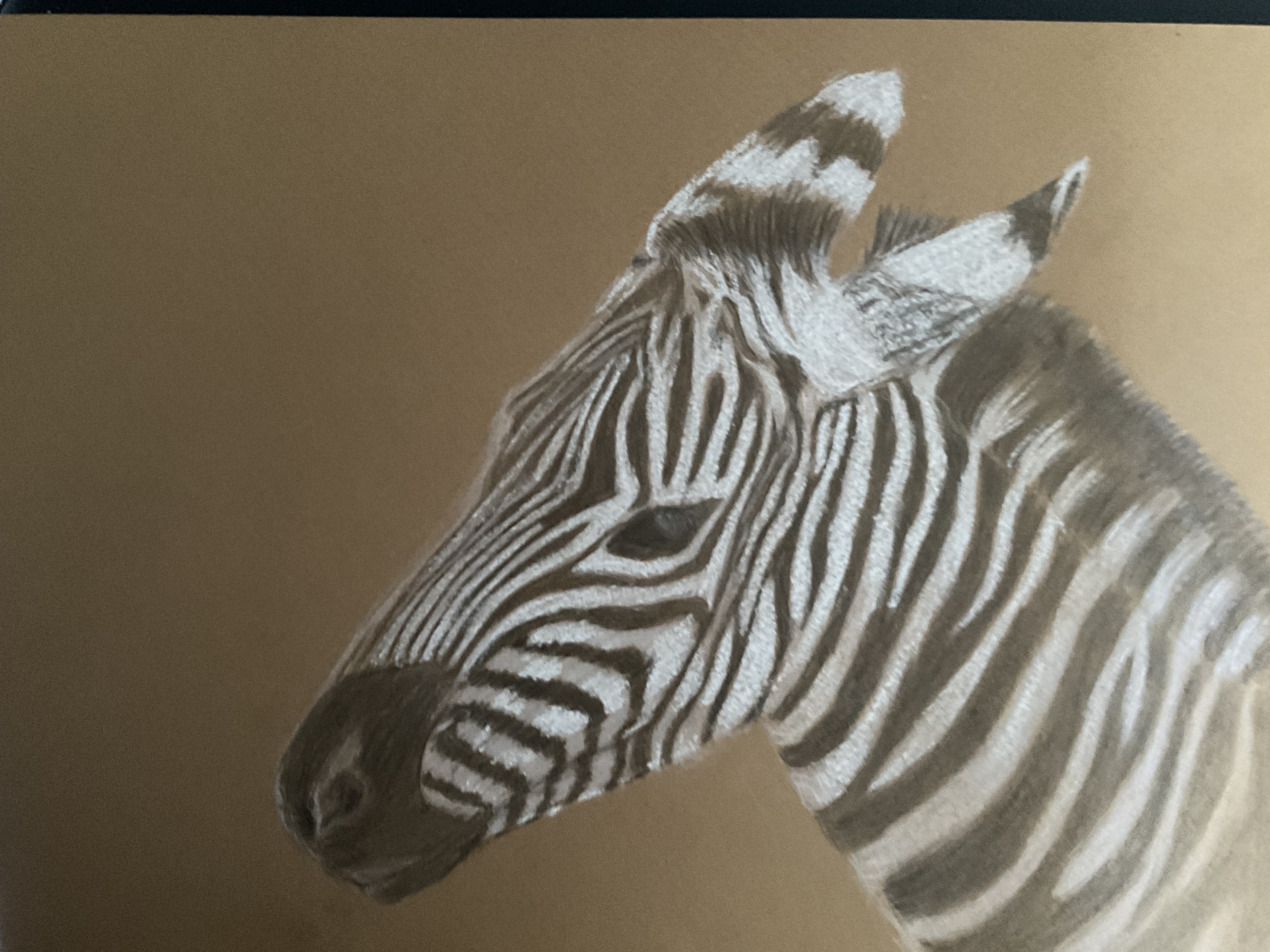 Dessiner une tete de zebre de Sylvie le 16 avril 2022