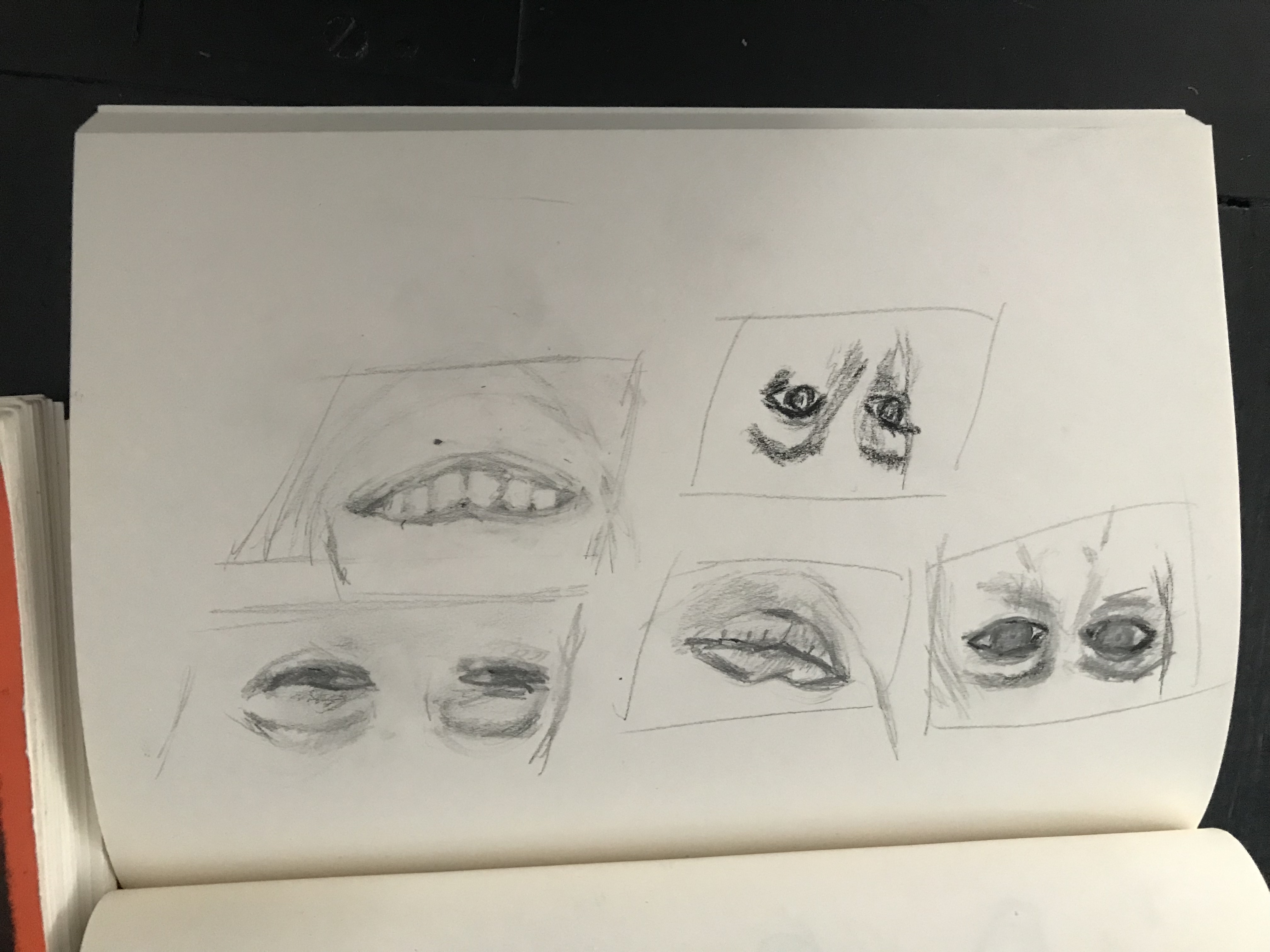 Apprendre à dessiner le visage : Les yeux de Dominique le 25 avril 2022