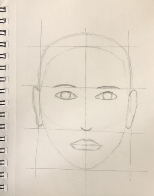 Les Proportions du visage en Dessin de Jessica le 07 mai 2022