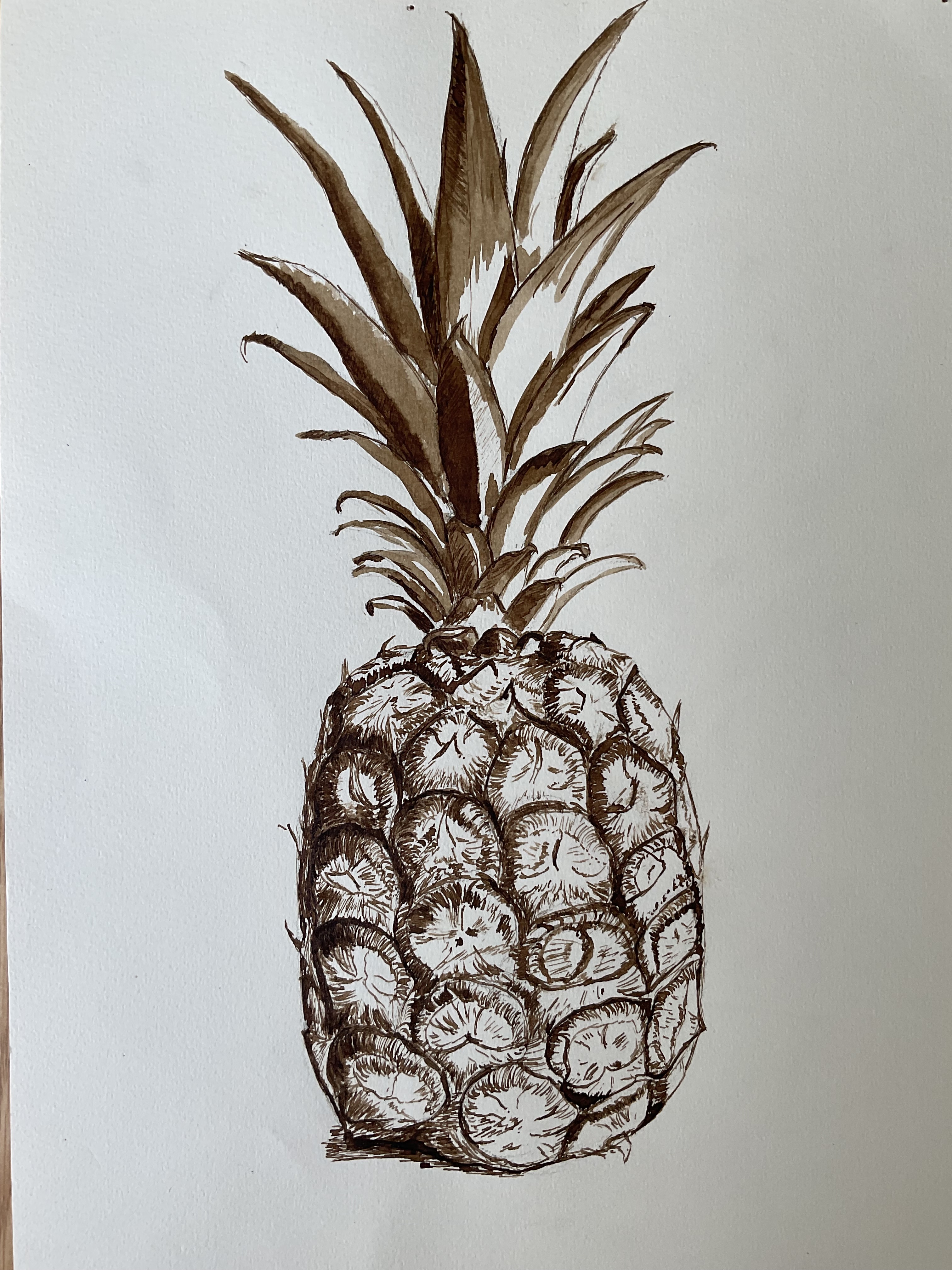 Un ananas au brou de noix de Sylvie le 12 juin 2022