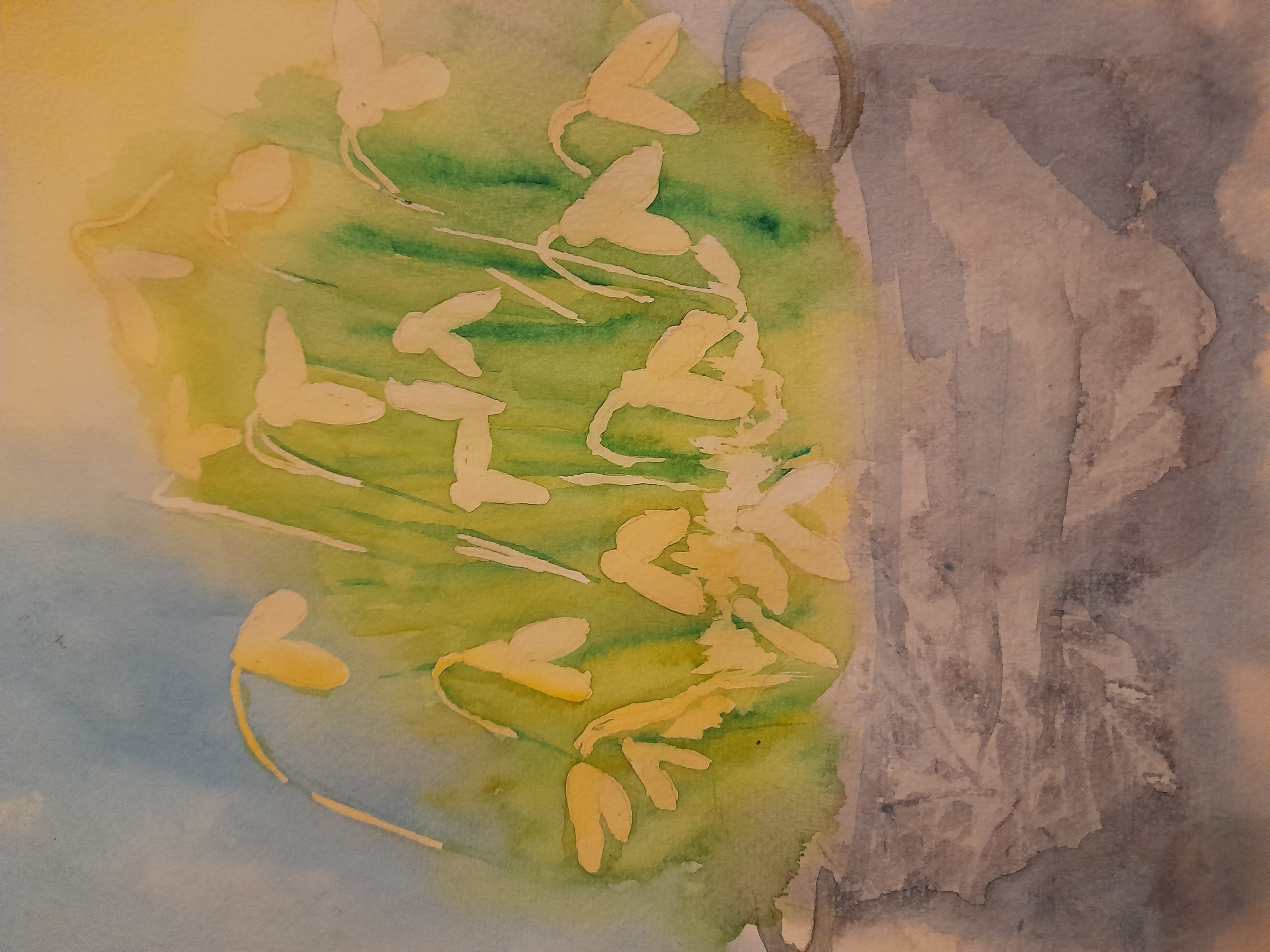 Peindre des Perce-neiges à l'Aquarelle de Pascale le 02 juillet 2022