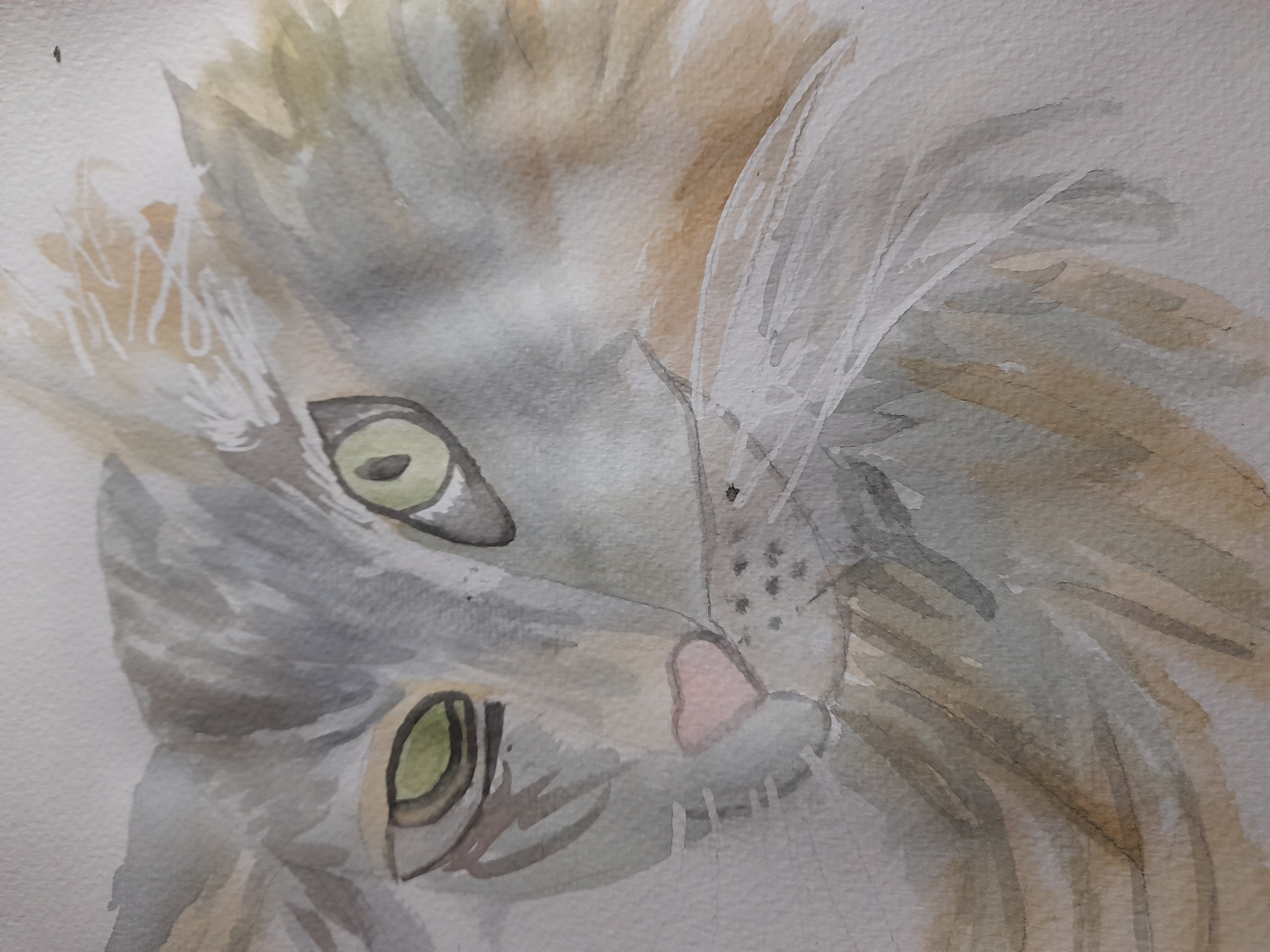 Un chat à l'aquarelle de Pascale le 11 juillet 2022