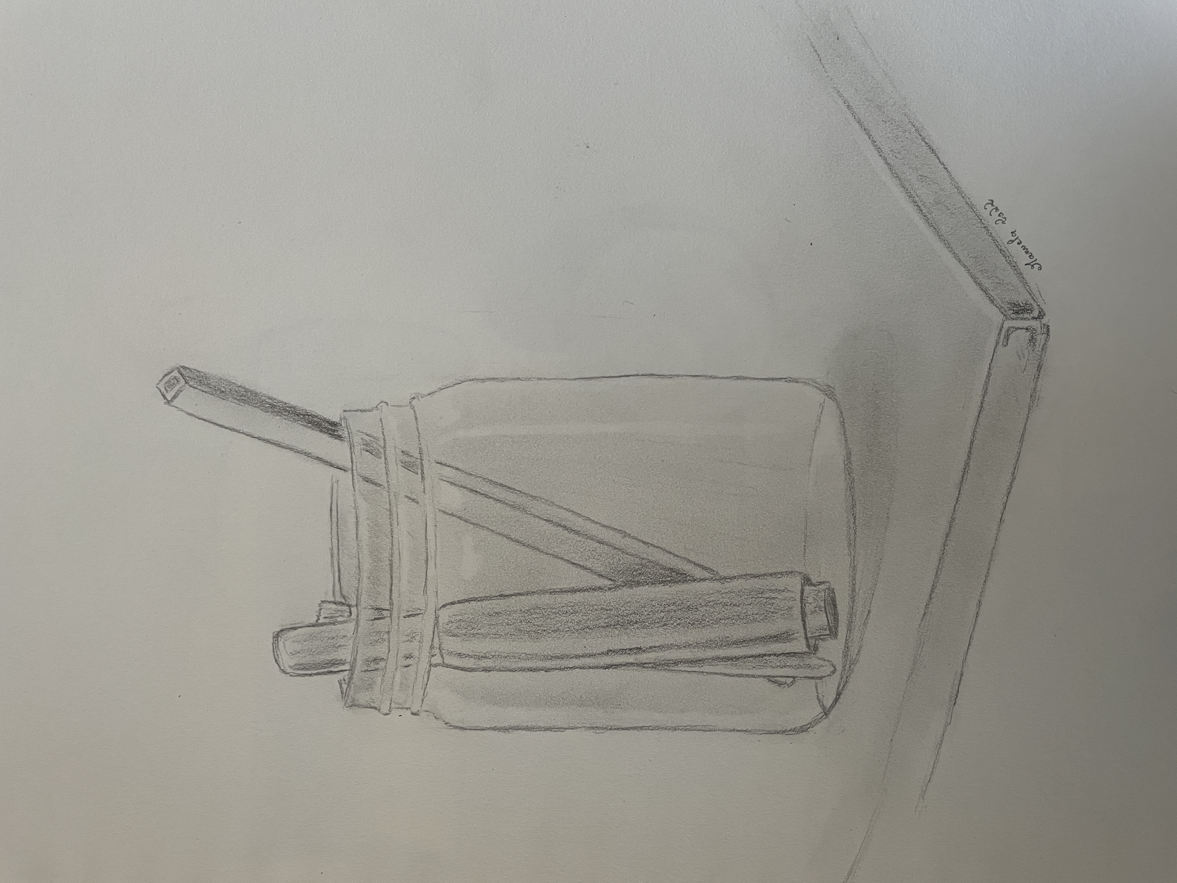 Prise de mesure en dessin d'observation de Manuela le 14 juillet 2022