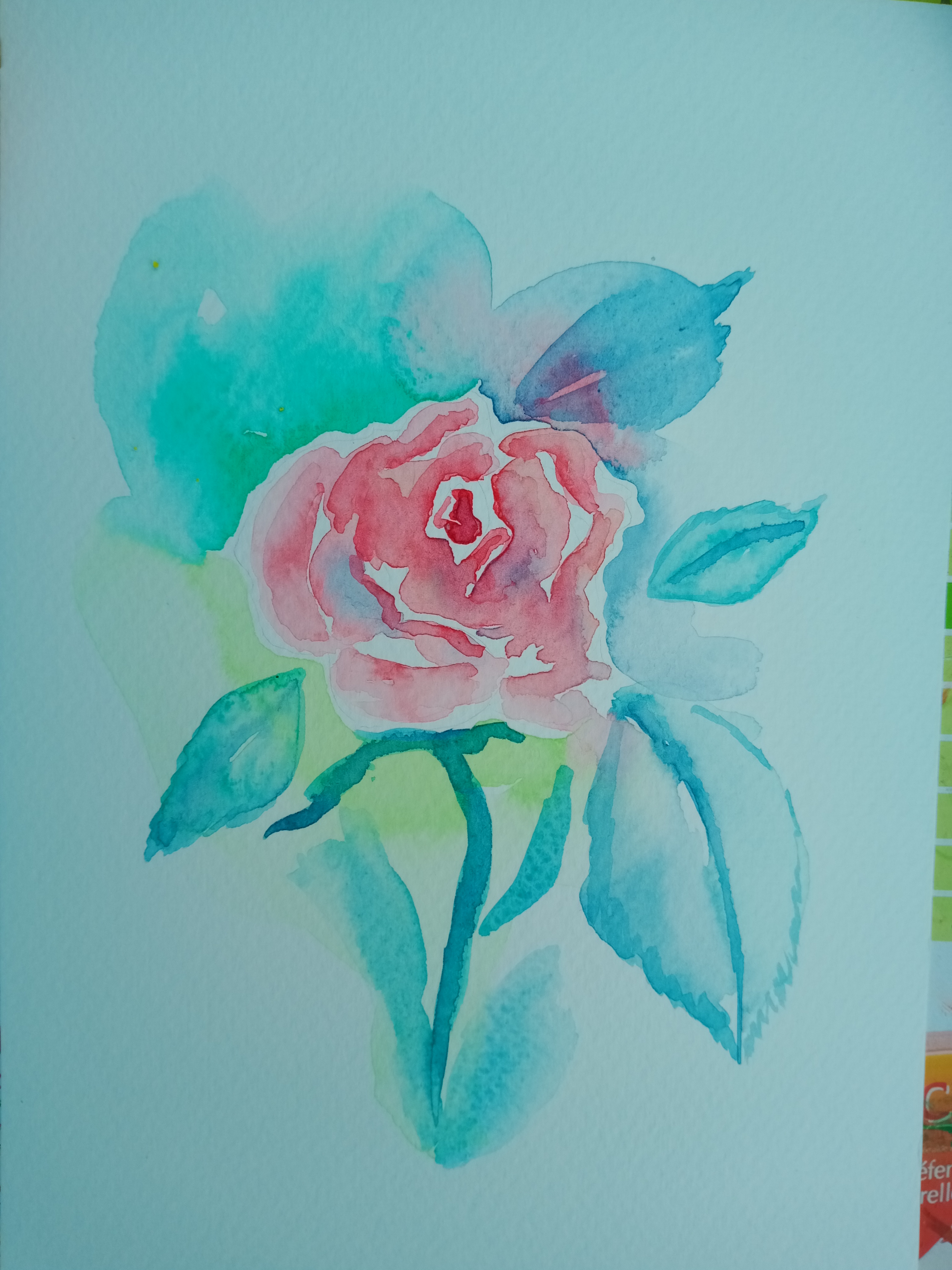 Un bouquet de roses à l'Aquarelle de Audrey le 20 juillet 2022