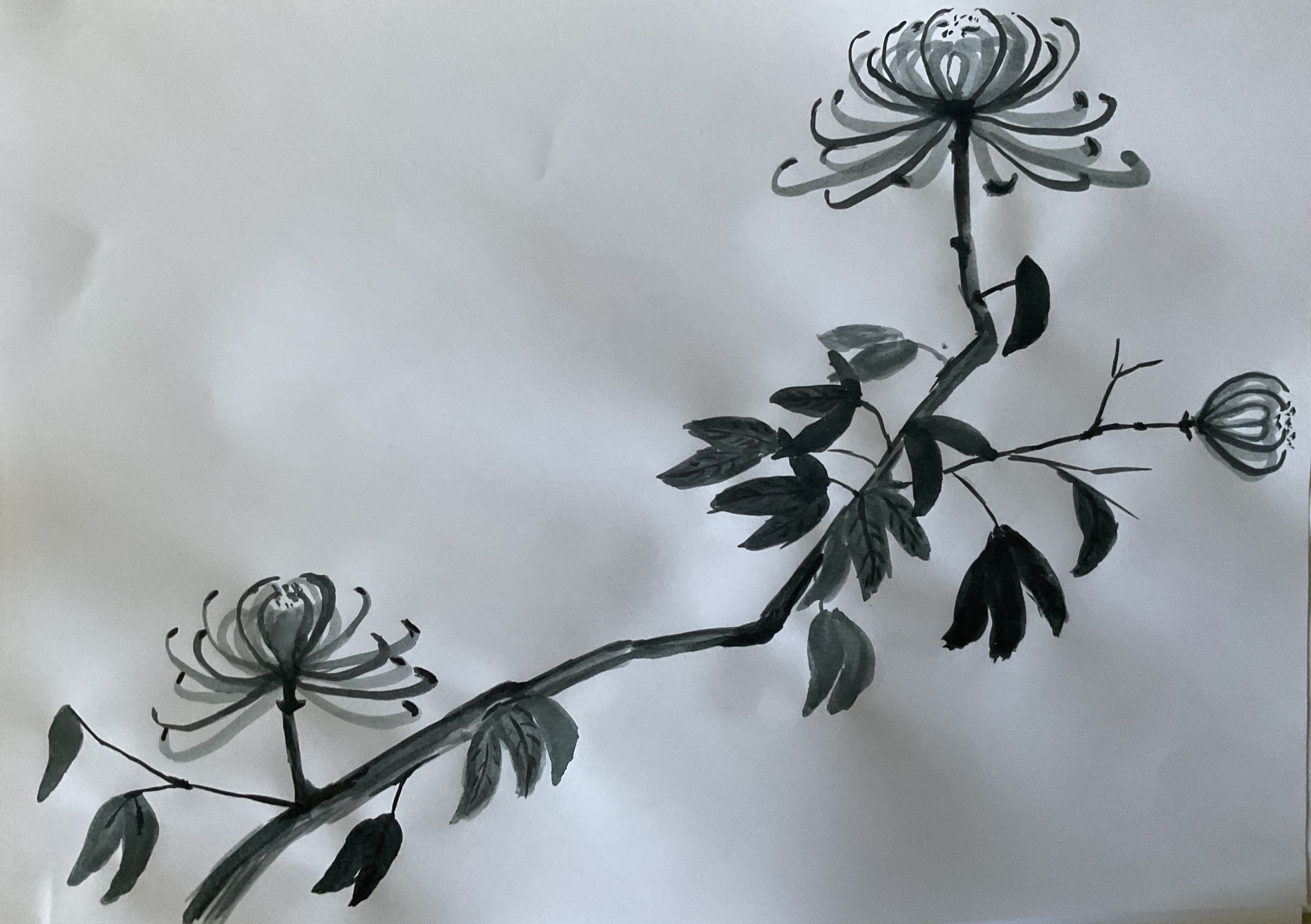Peindre des chrysanthèmes de Sylvie le 27 juillet 2022