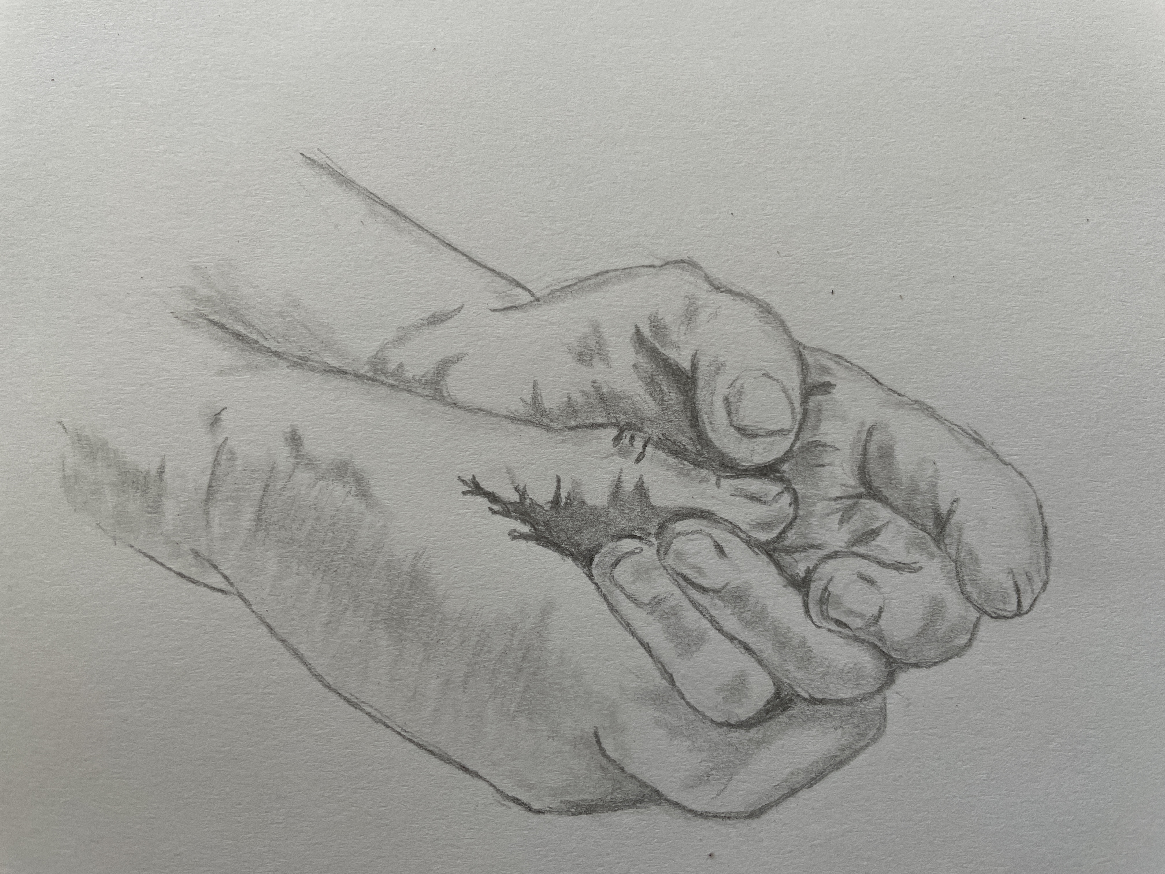 Dessiner les mains d'un senior de Manuela le 16 août 2022