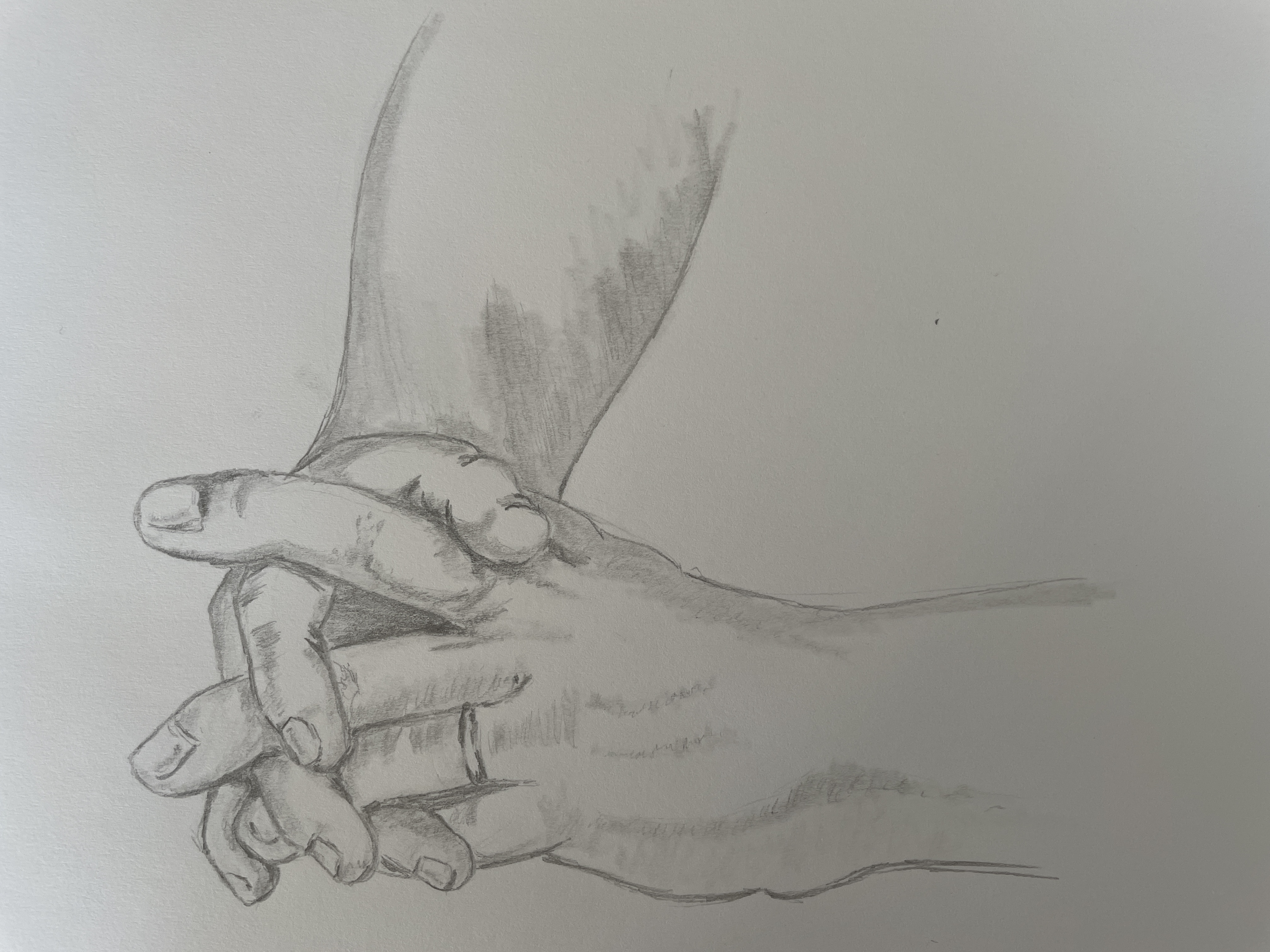 Dessiner les mains pose complexe de Manuela le 17 août 2022