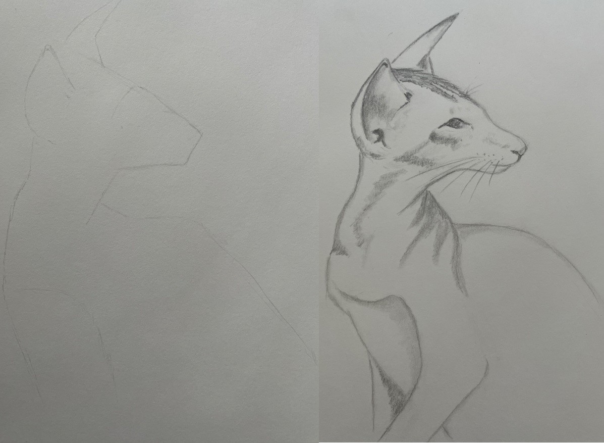 Dessiner le portrait d'un chat de Manuela le 25 août 2022
