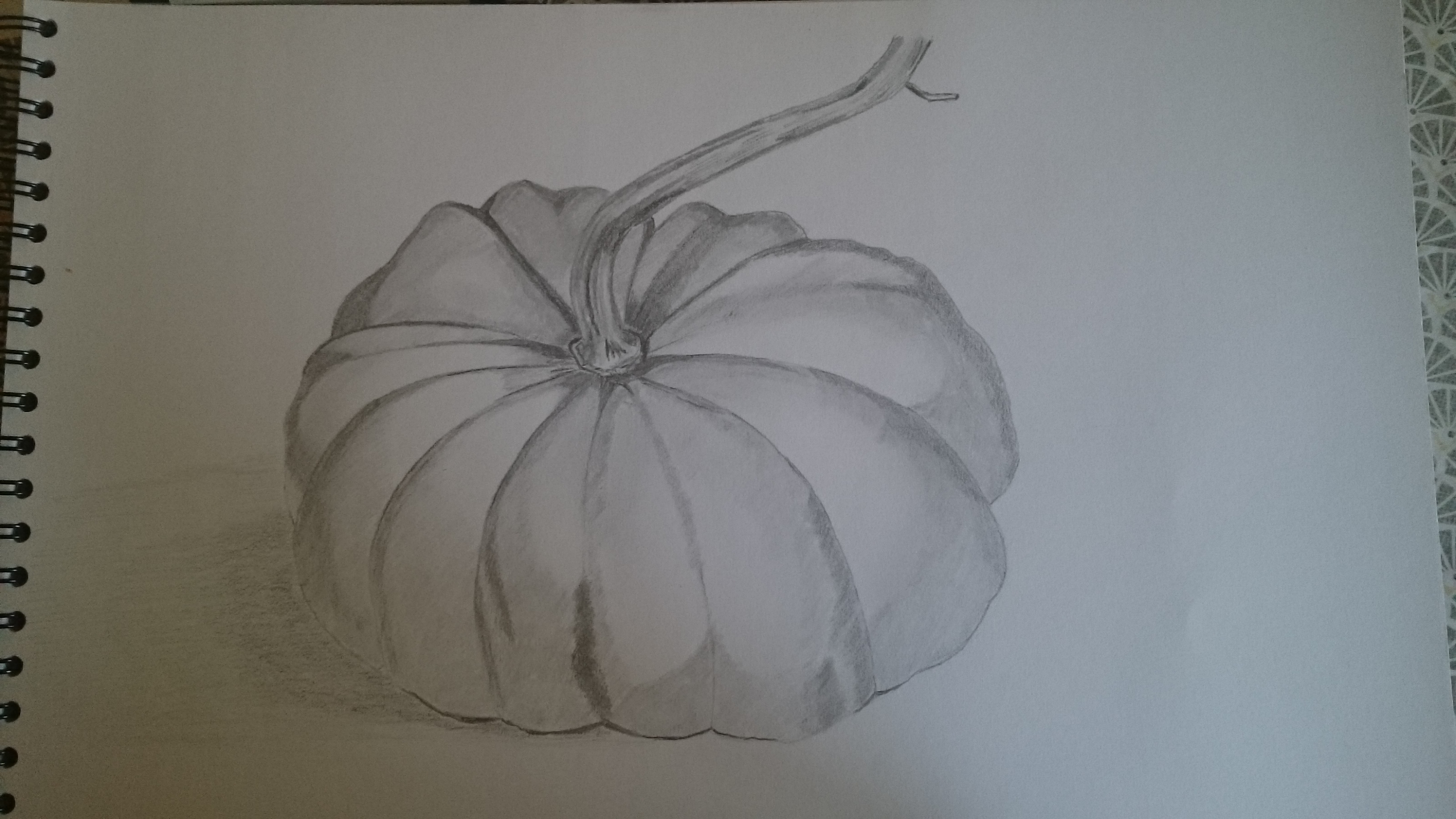 Dessin d'observation : une courge de Françoise le 13 septembre 2022